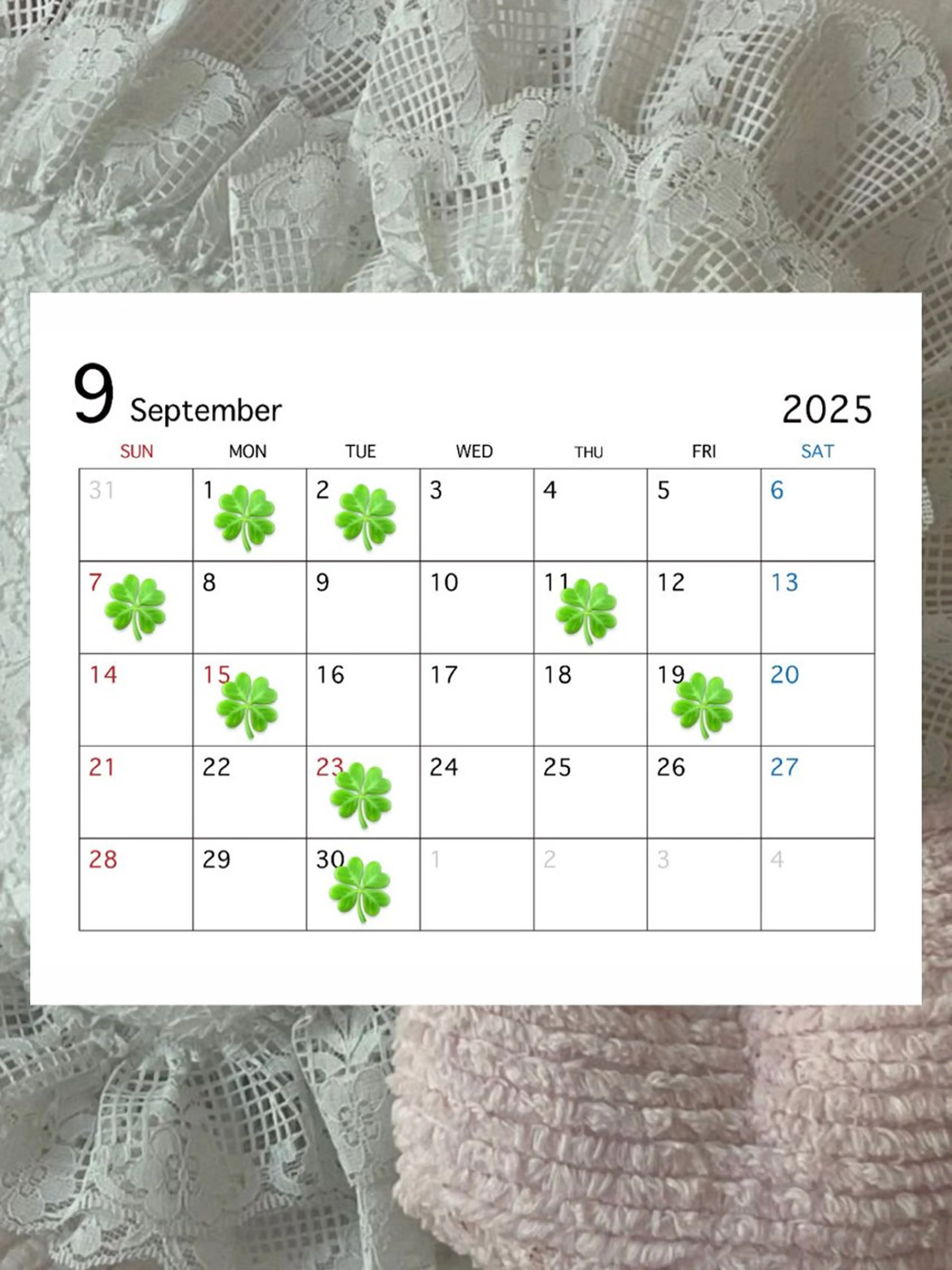 🍀fein. sakura🍀の眉毛・アイブロウイメージ