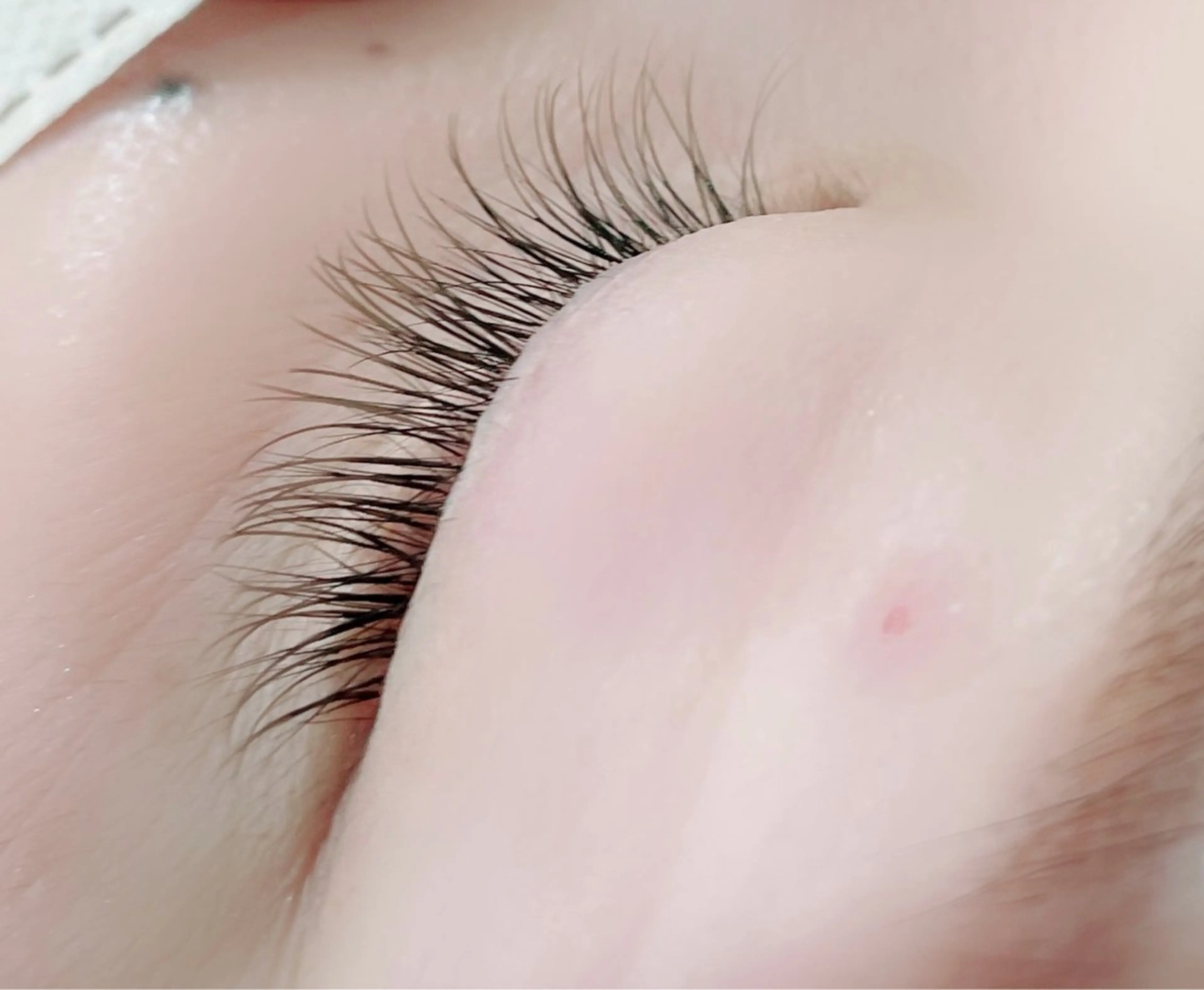 マツエク60分付け放題/カラーmixの写真