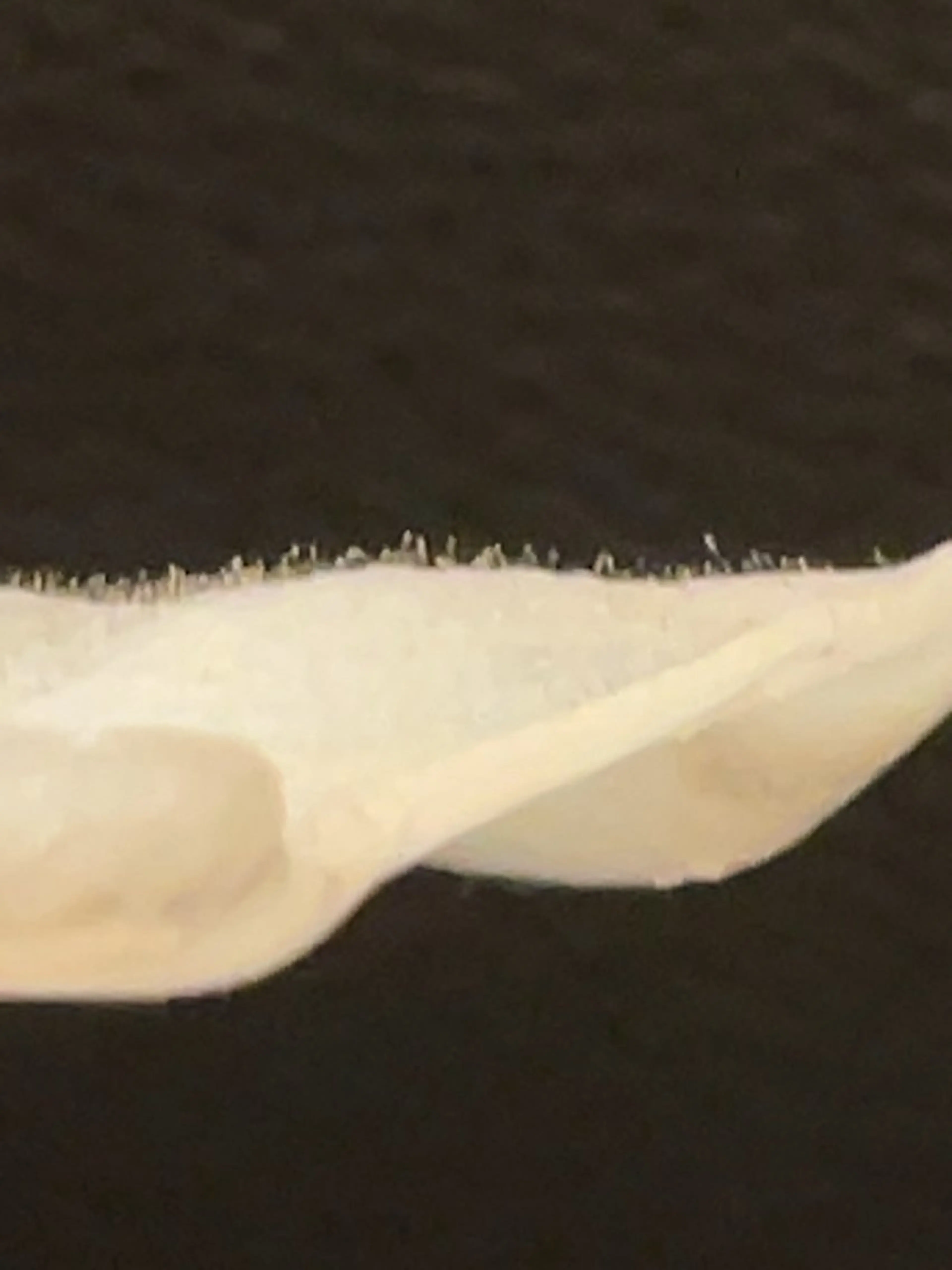 Beauty Salon AZUL所属・ビューティーサロン AZULのエステ・リラクイメージ