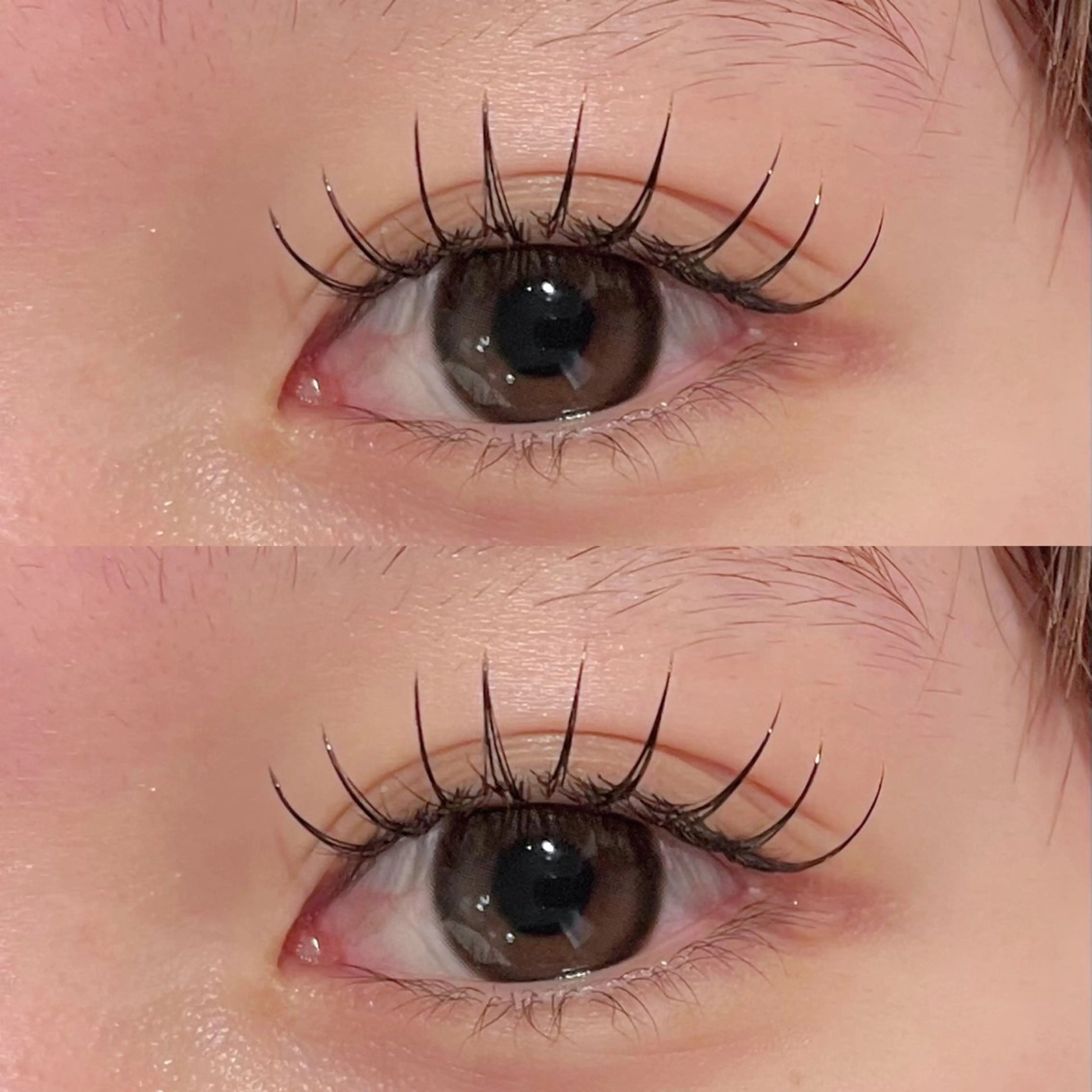 マツエク・マツパ re-born konomi 産休中のマツエク・マツパデザイン