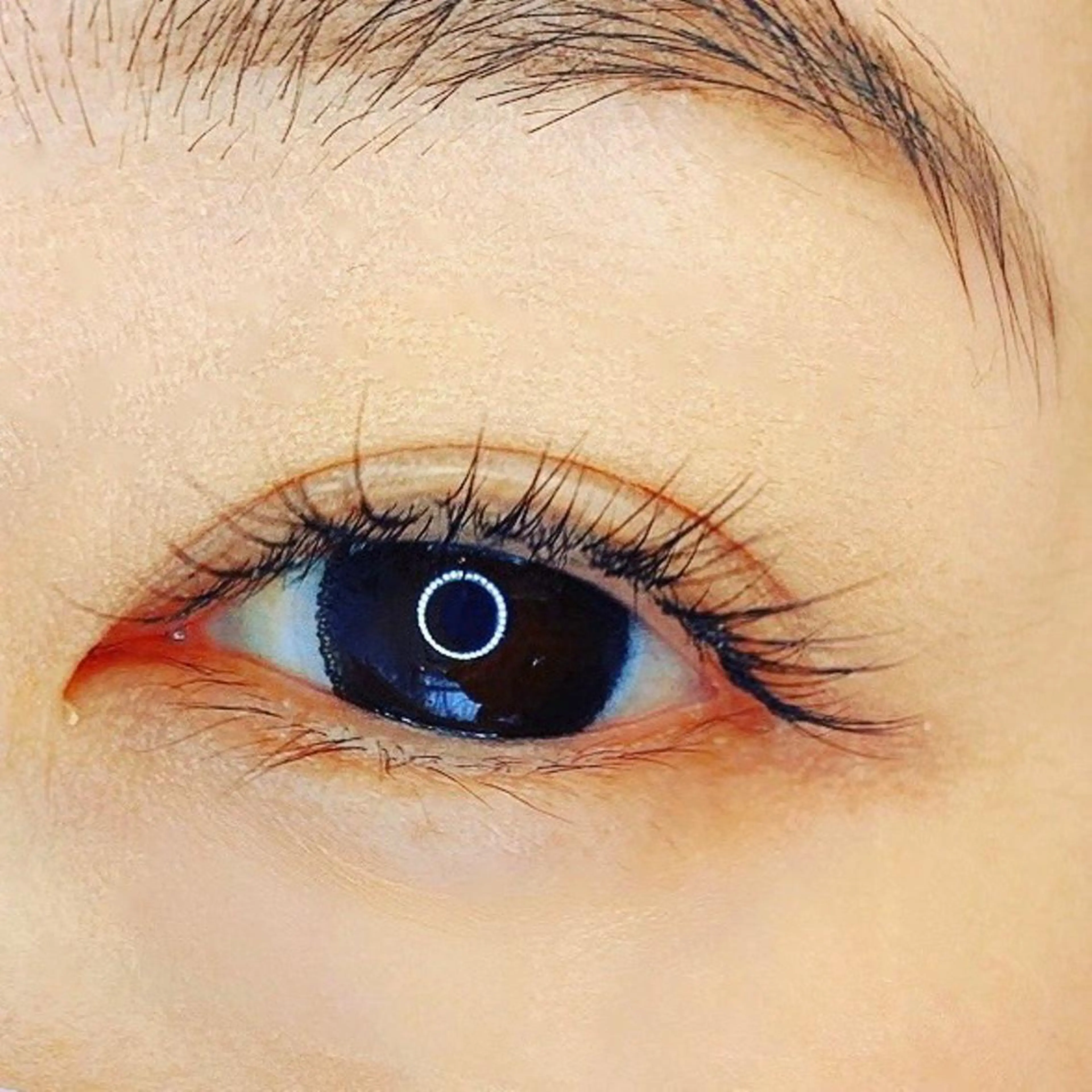 マツエク・マツパ セーブル eyelash salon Mary所属・阿部 ライサのマツエク・マツパデザイン