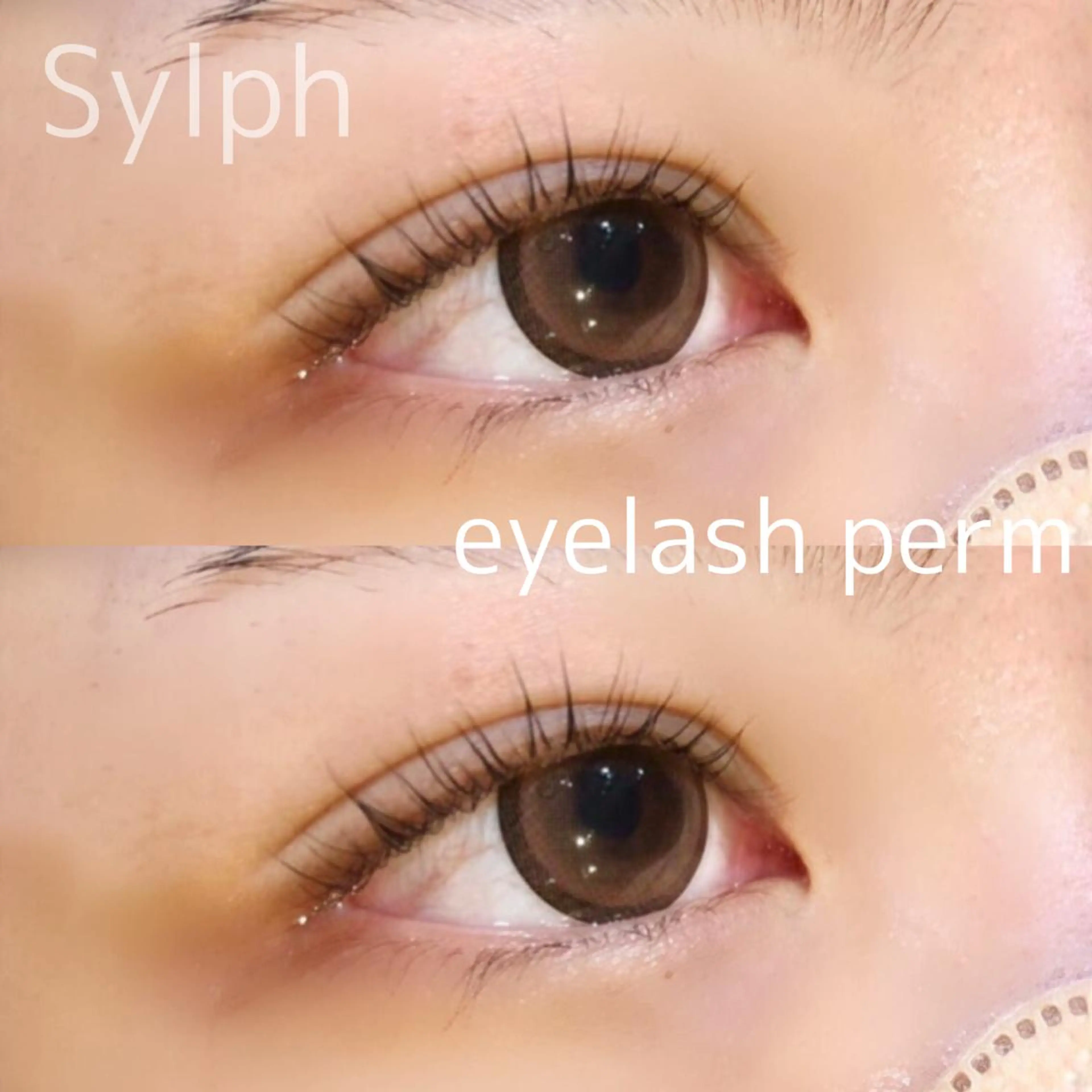 マツエク・マツパ MODEK'S あやねのヘアスタイル