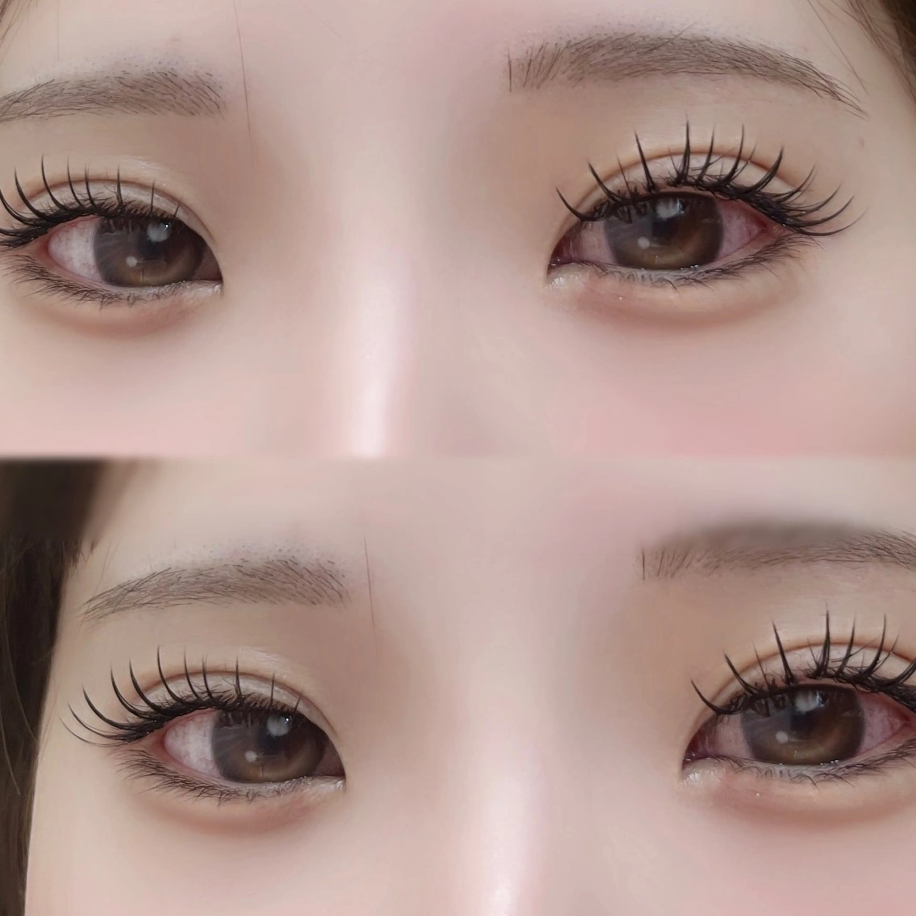 🧸💞フラットラッシュエクステ120本💞🧸の写真