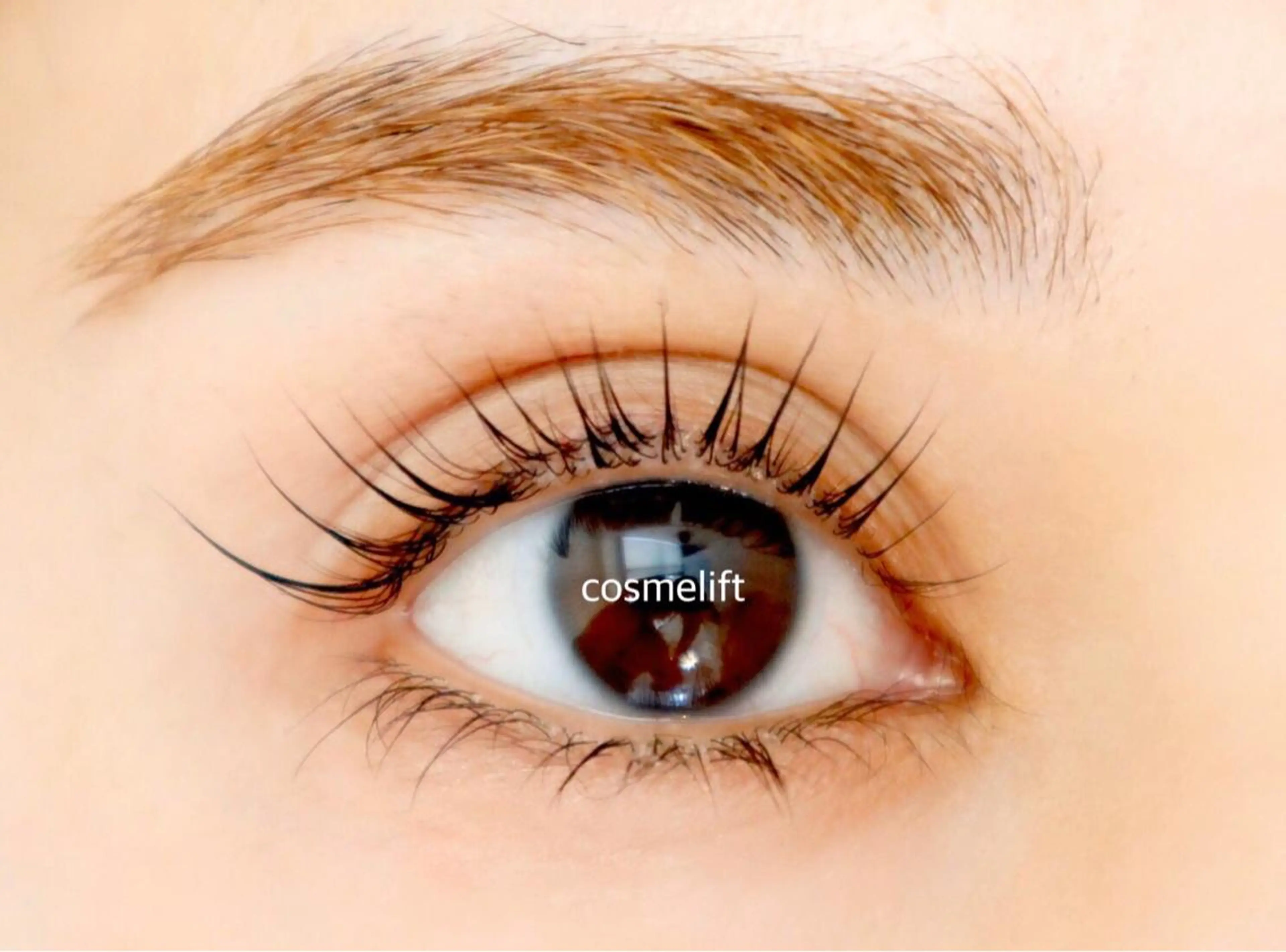 マツエク・マツパ マツエク NERU  lash&brow所属・鈴木 音瑠のマツエク・マツパデザイン