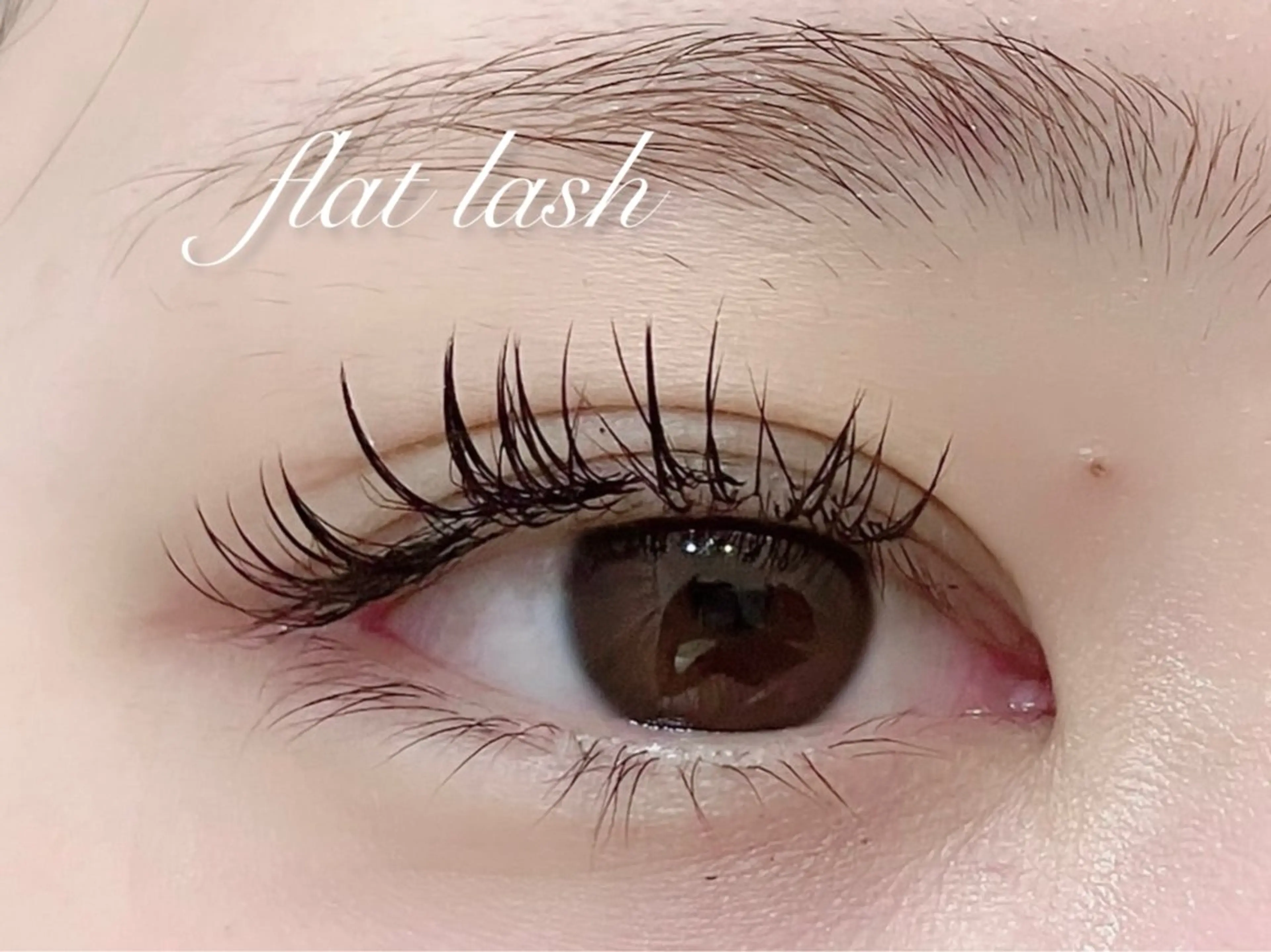 マツエク・マツパ マツエク 🦋LOARK eyelash.梶川のマツエク・マツパデザイン