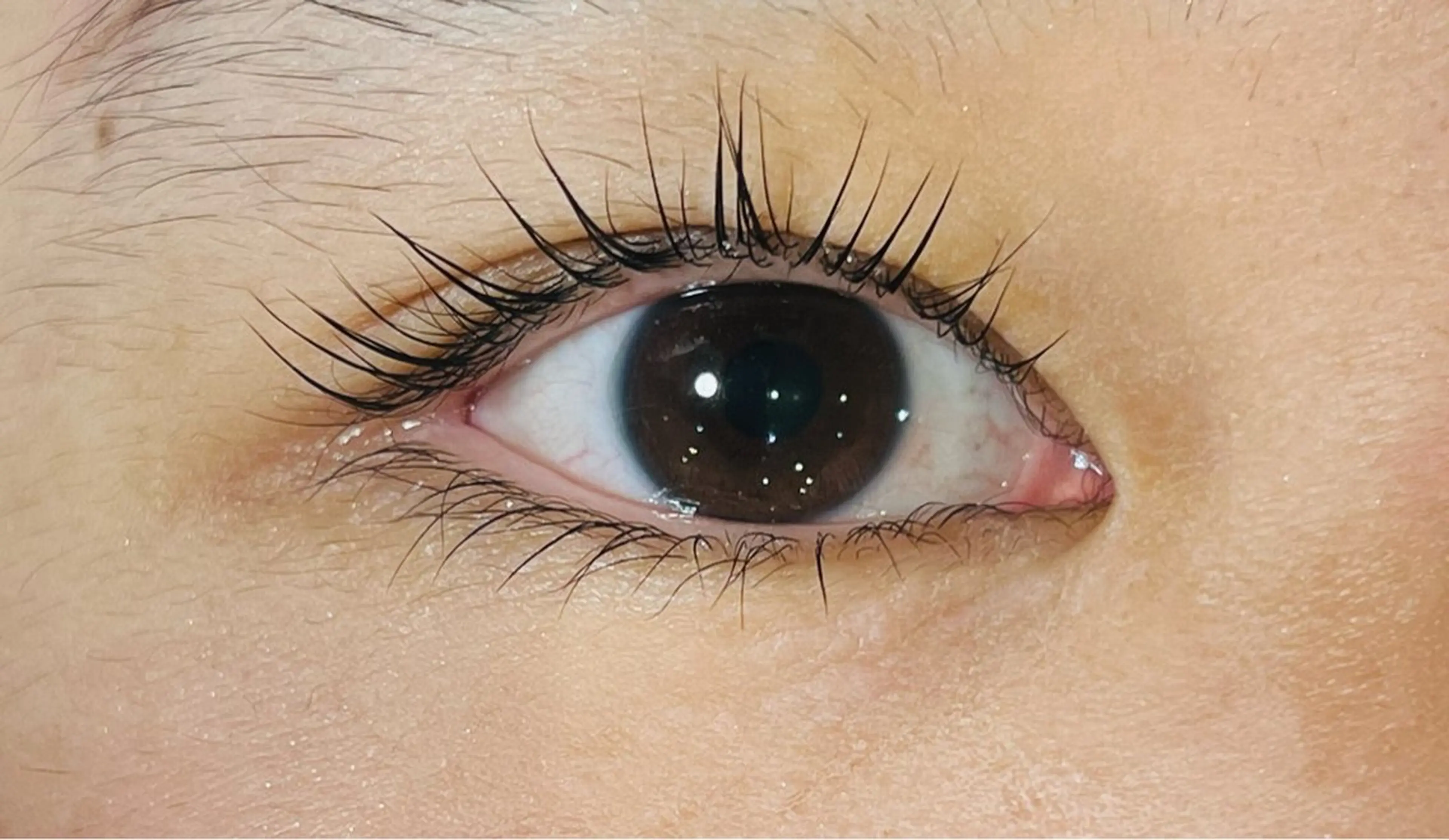 マツエク・マツパ AWANIKO byNOA浦添店所属・ノア 浦添の眉毛・アイブロウイメージ