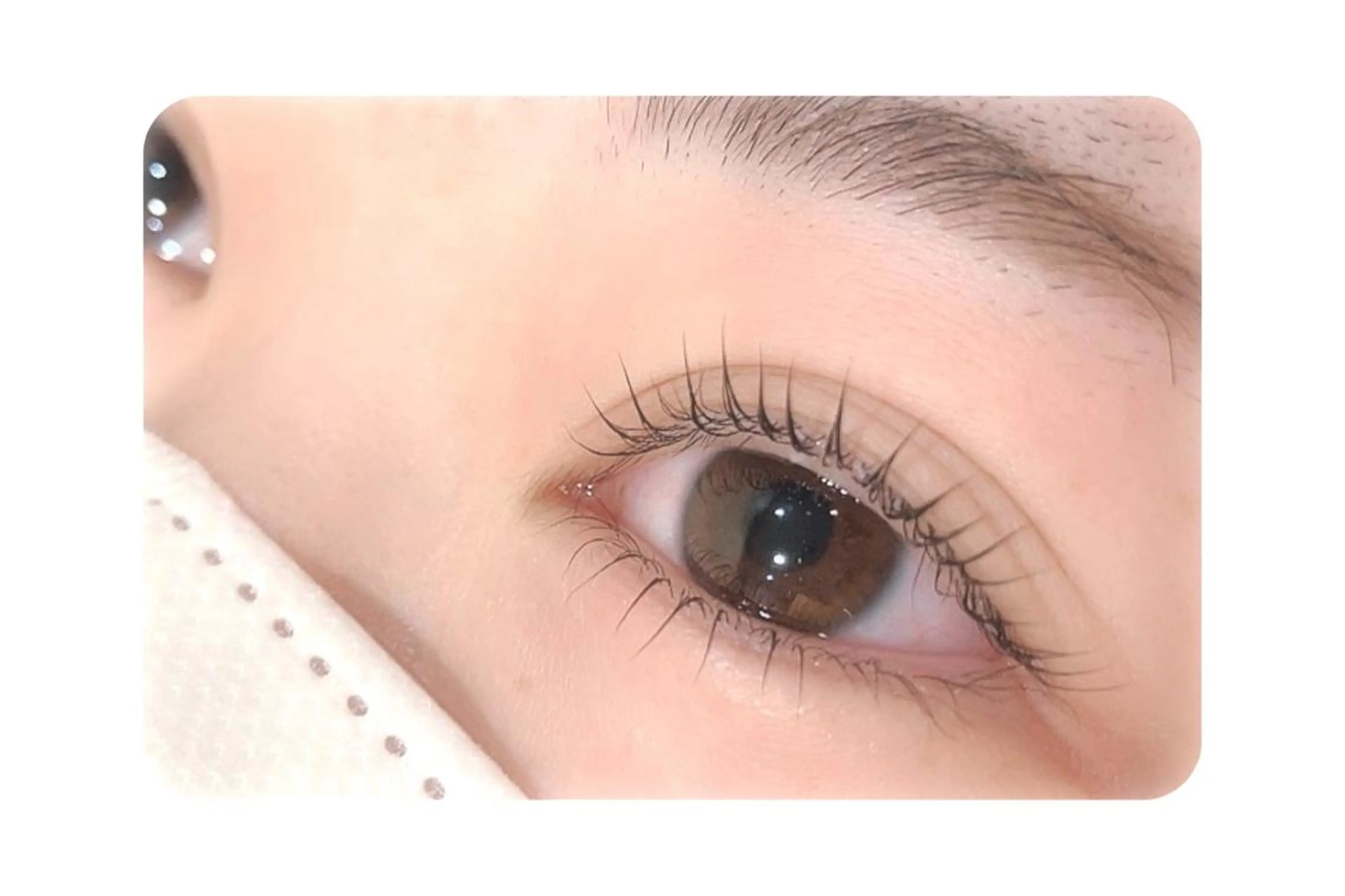 ご新規様限定💐デザインまつ毛パーマ【コーティング付き】の写真