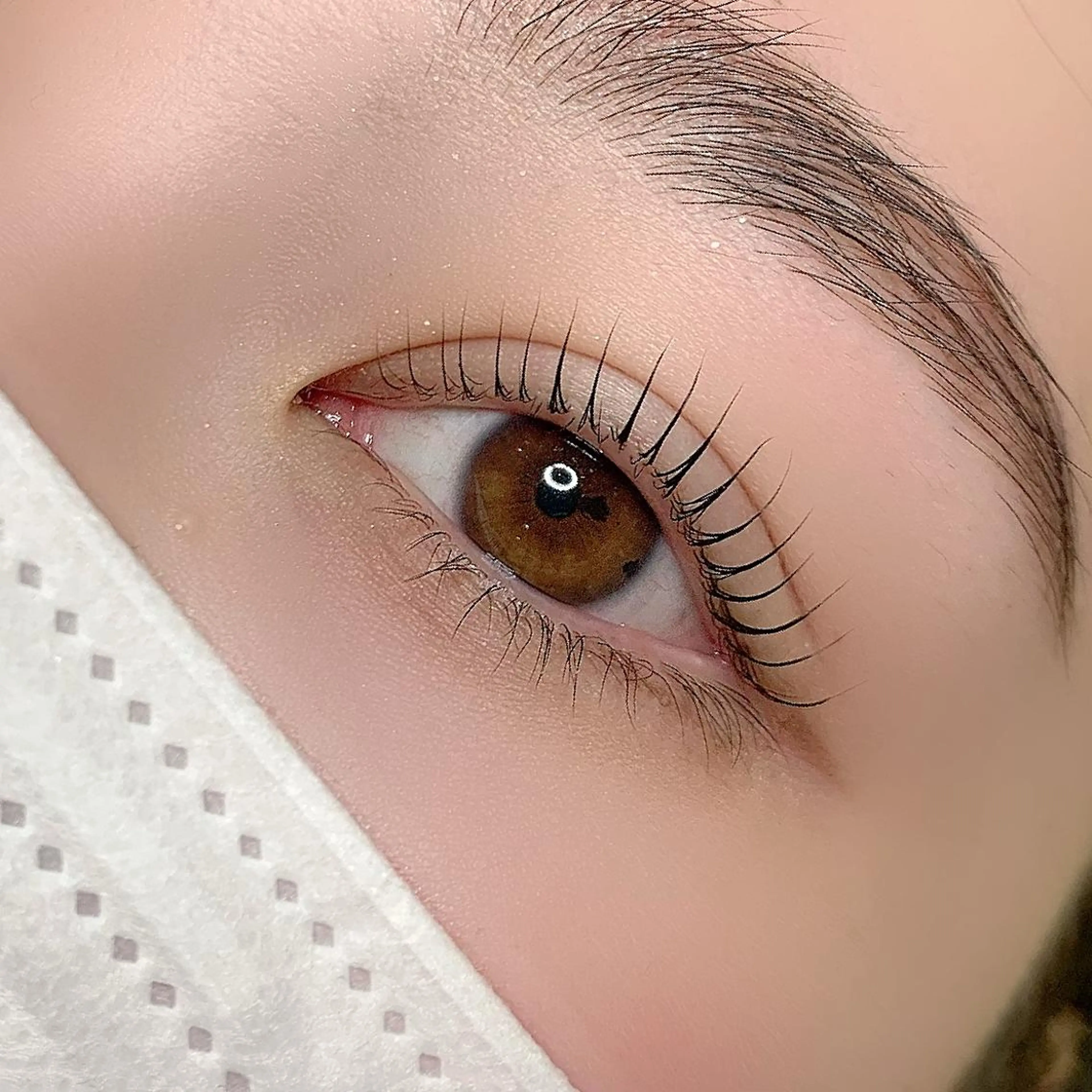 マツエク・マツパ まつげパーマ AYLASH石川 韓国風/カラエクのマツエク・マツパデザイン