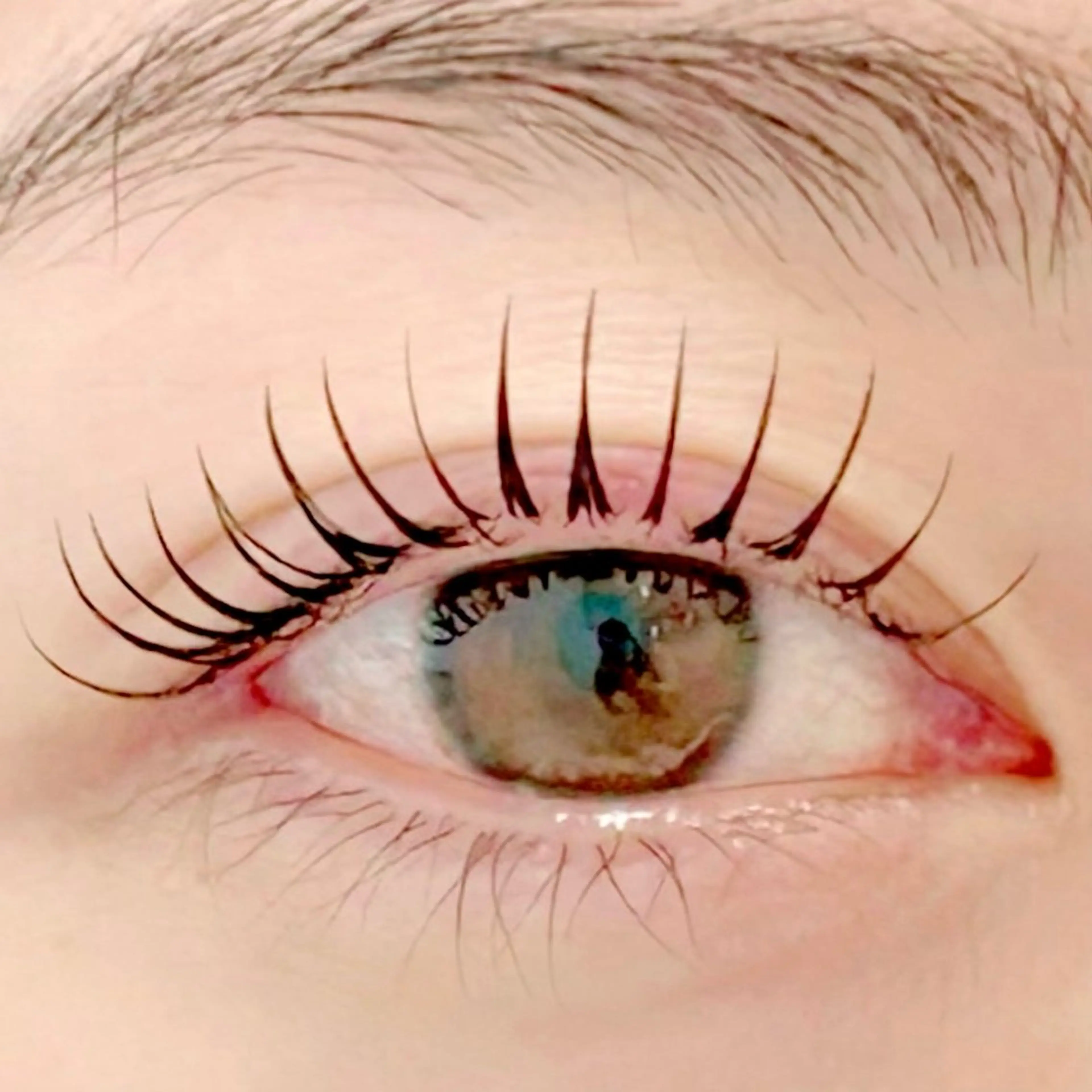 マツエク・マツパ フラットラッシュ 一重×まつ毛パーマ BellFlower Aki(眉・まつげ)のマツエク・マツパデザイン