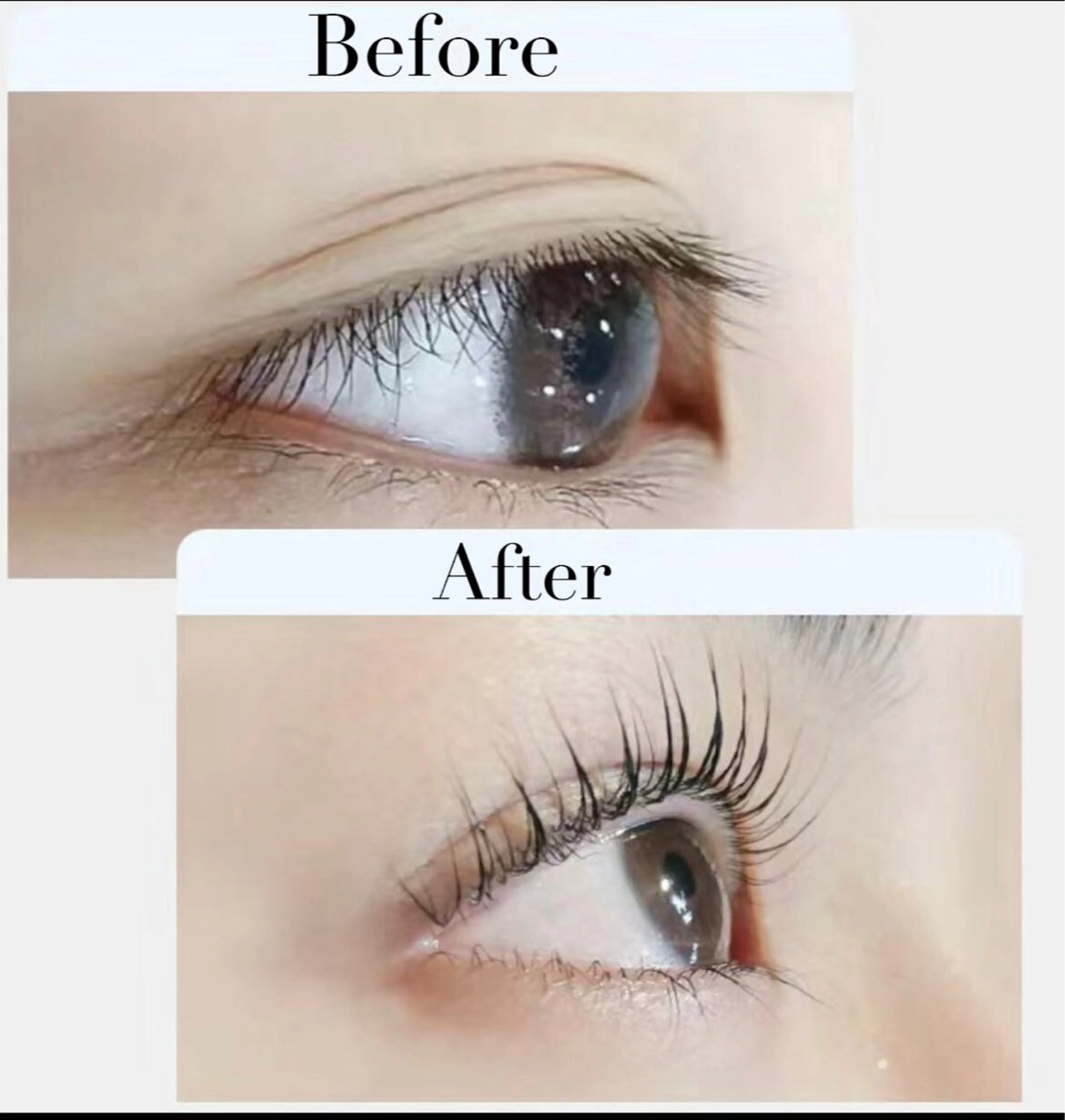 【★新規様大セール】大人気☆パリジェンヌラッシュリフト(上のみ)¥3980の写真