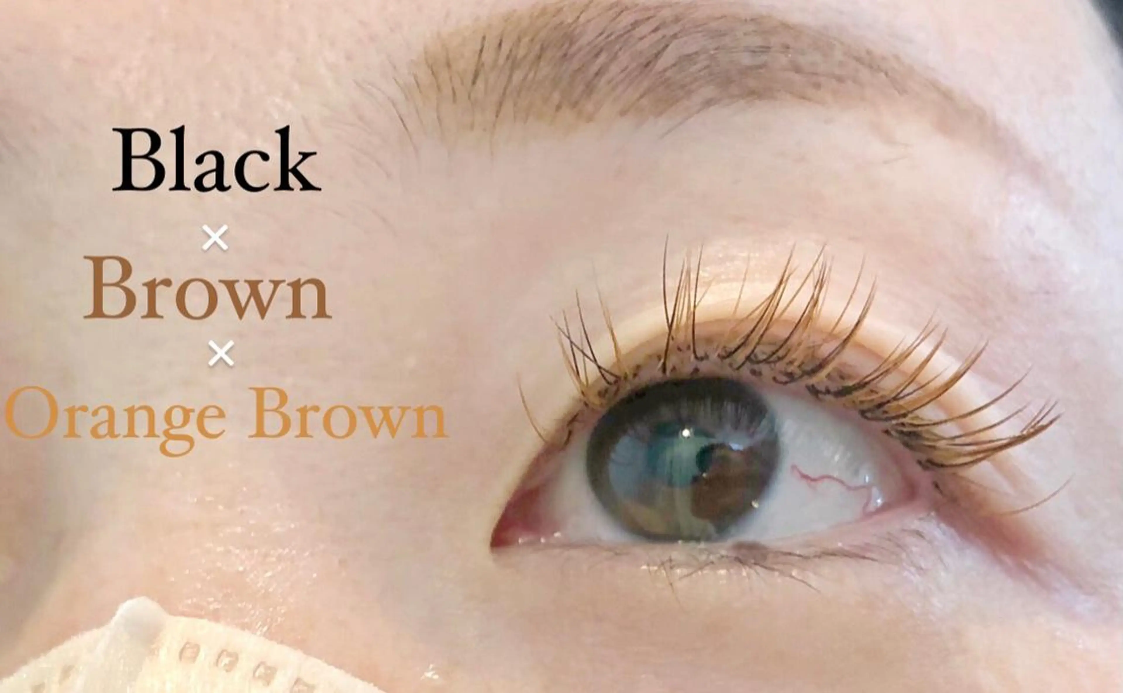 マツエク・マツパ Tsuruga Mikiのマツエク・マツパデザイン