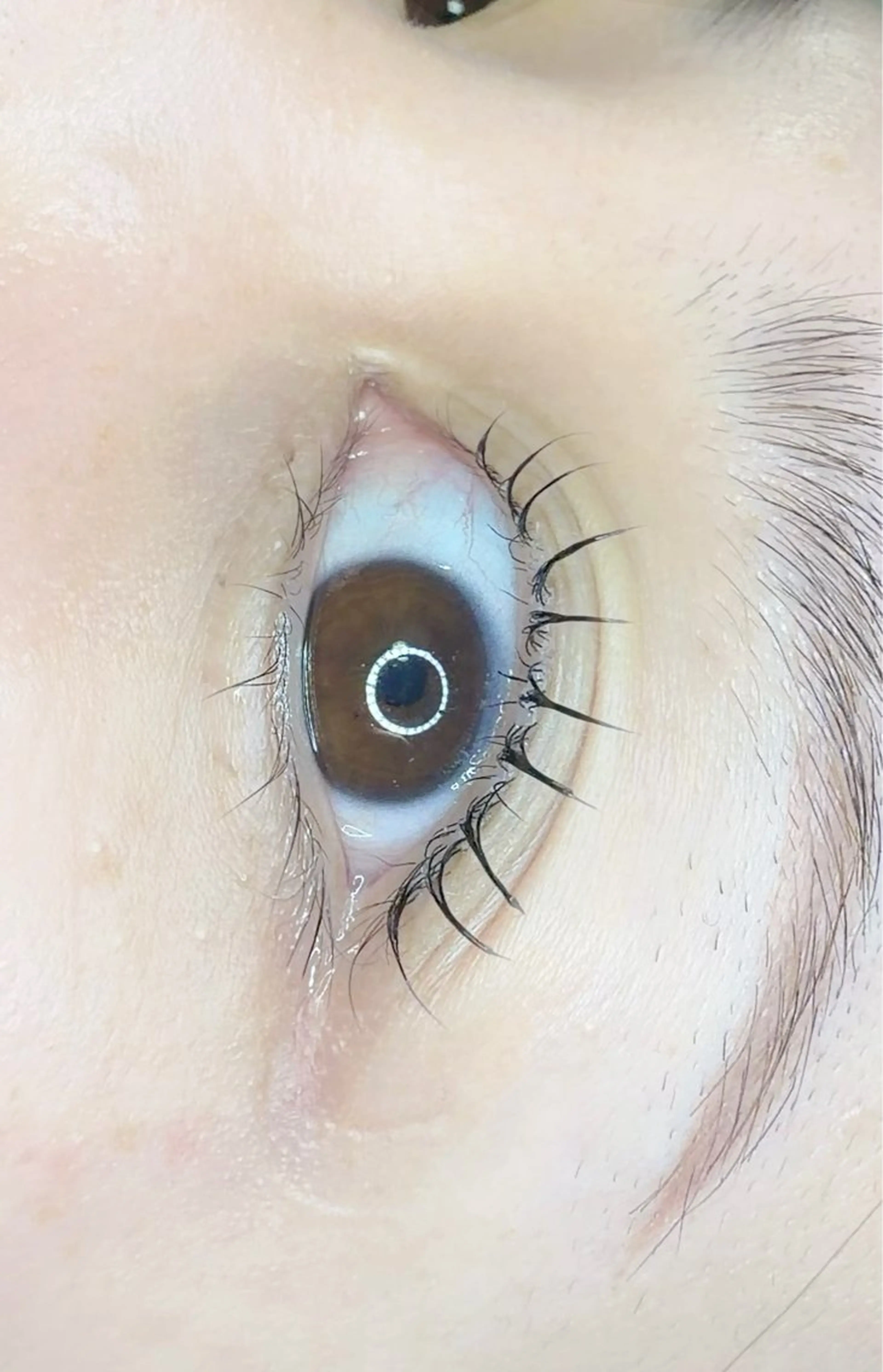 マツエク・マツパ Lash Lift ＷAＶＥ所属・Lash Lift WAVE🩵のマツエク・マツパデザイン