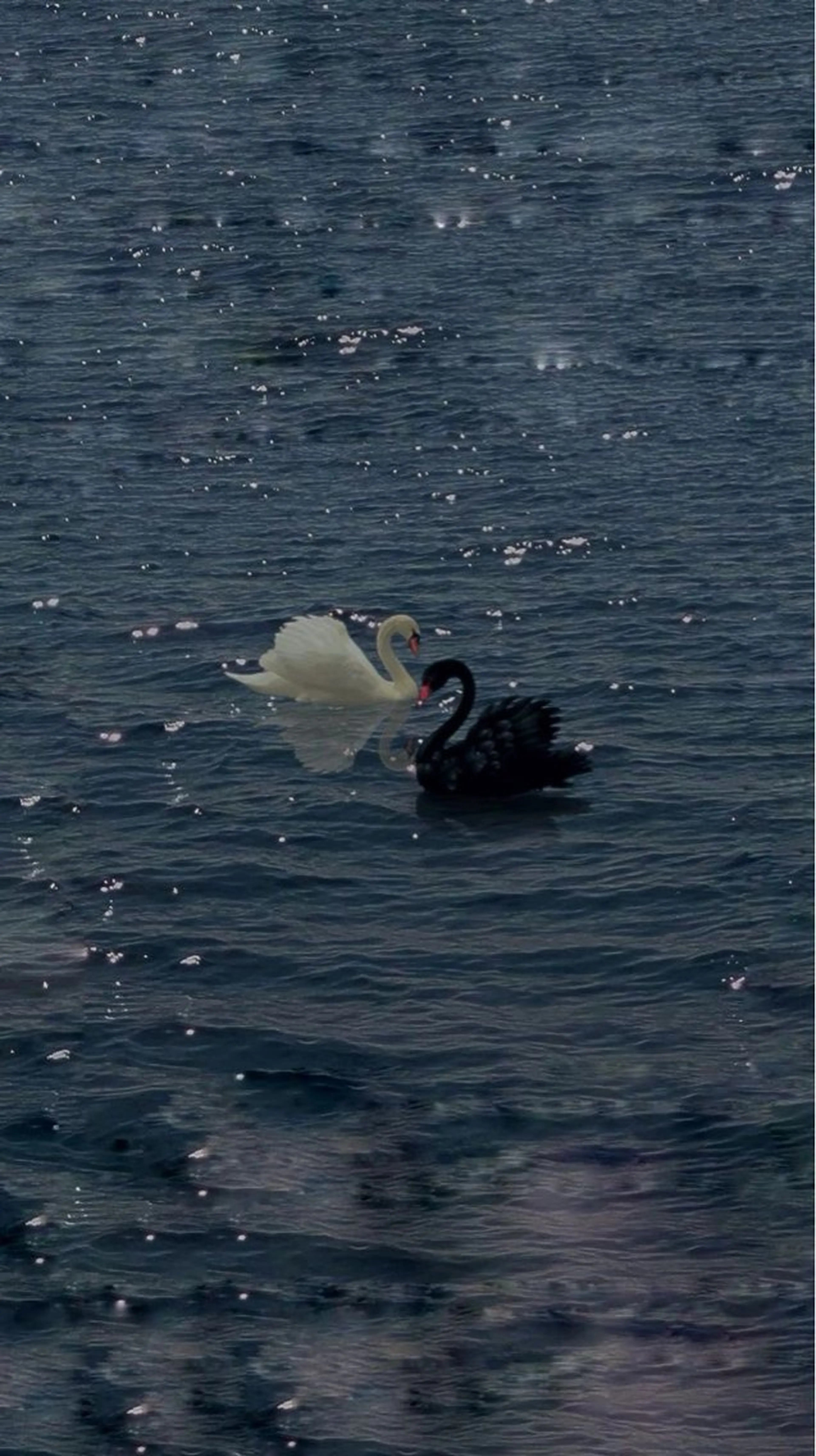 アイブロウ ワックス脱毛 眉カット 🩶バインドロック まつパ🩶由佳の眉毛・アイブロウイメージ