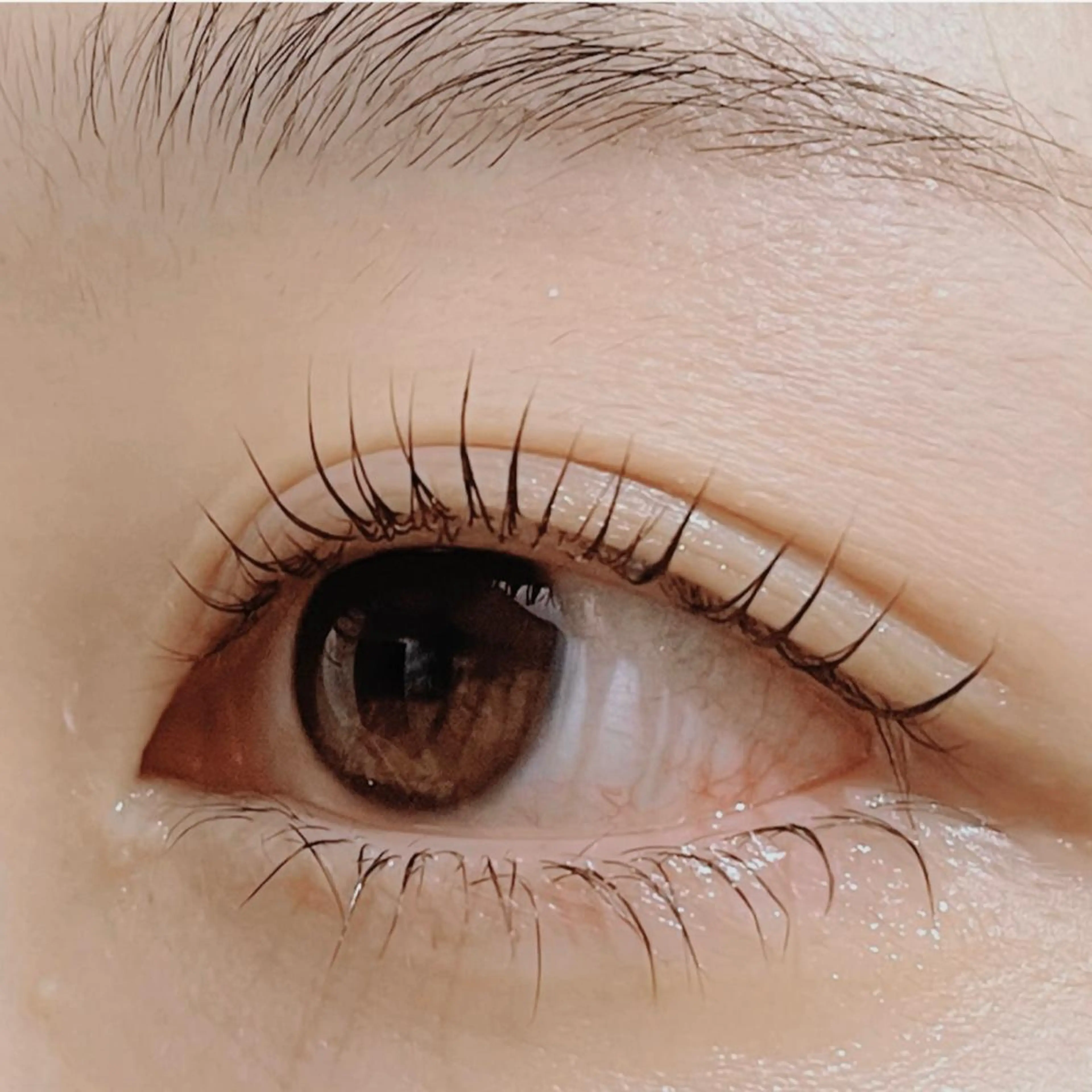 マツエク・マツパ Shine💫白石 珠紀のマツエク・マツパデザイン