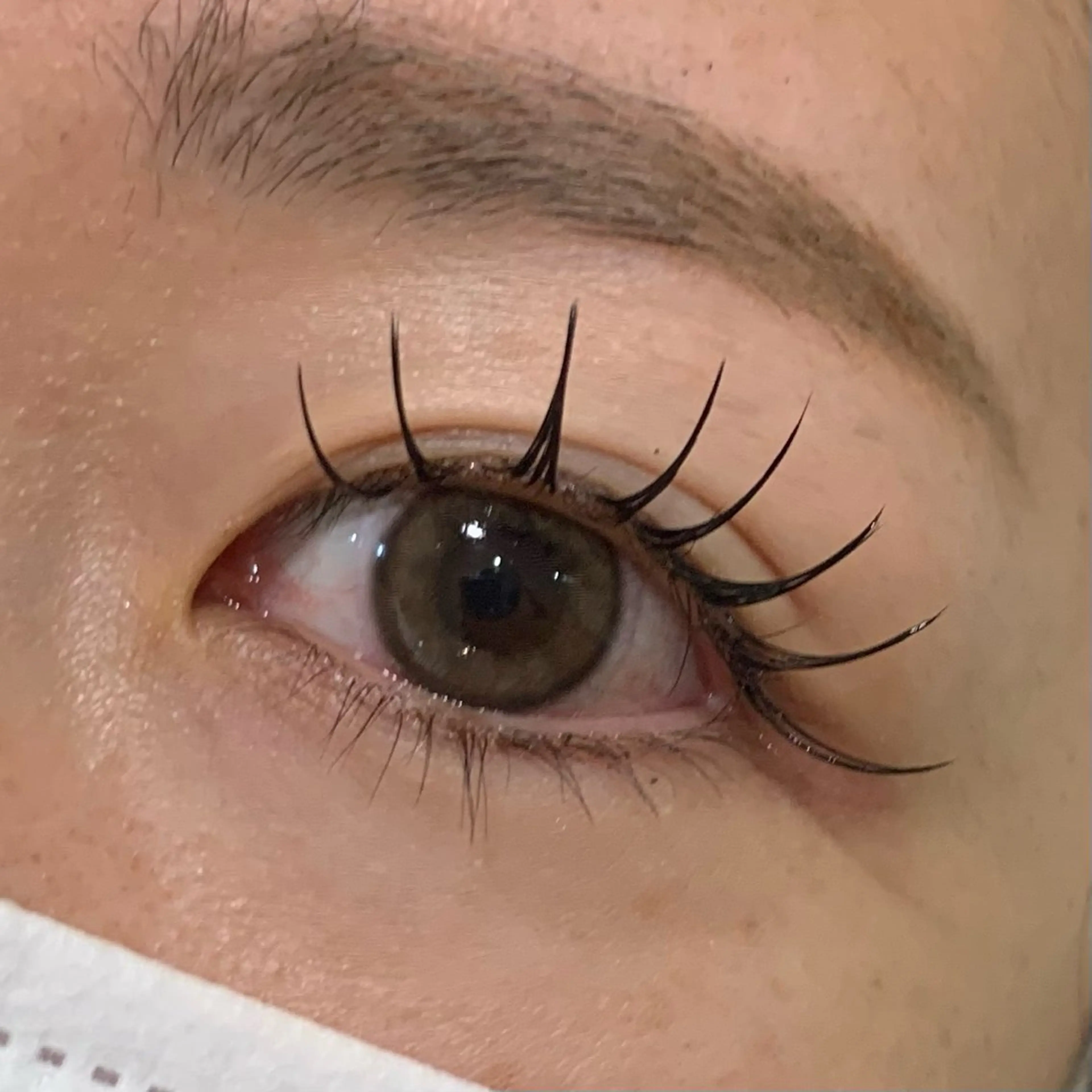 マツエク・マツパ マツエク lifra CHISAのマツエク・マツパデザイン