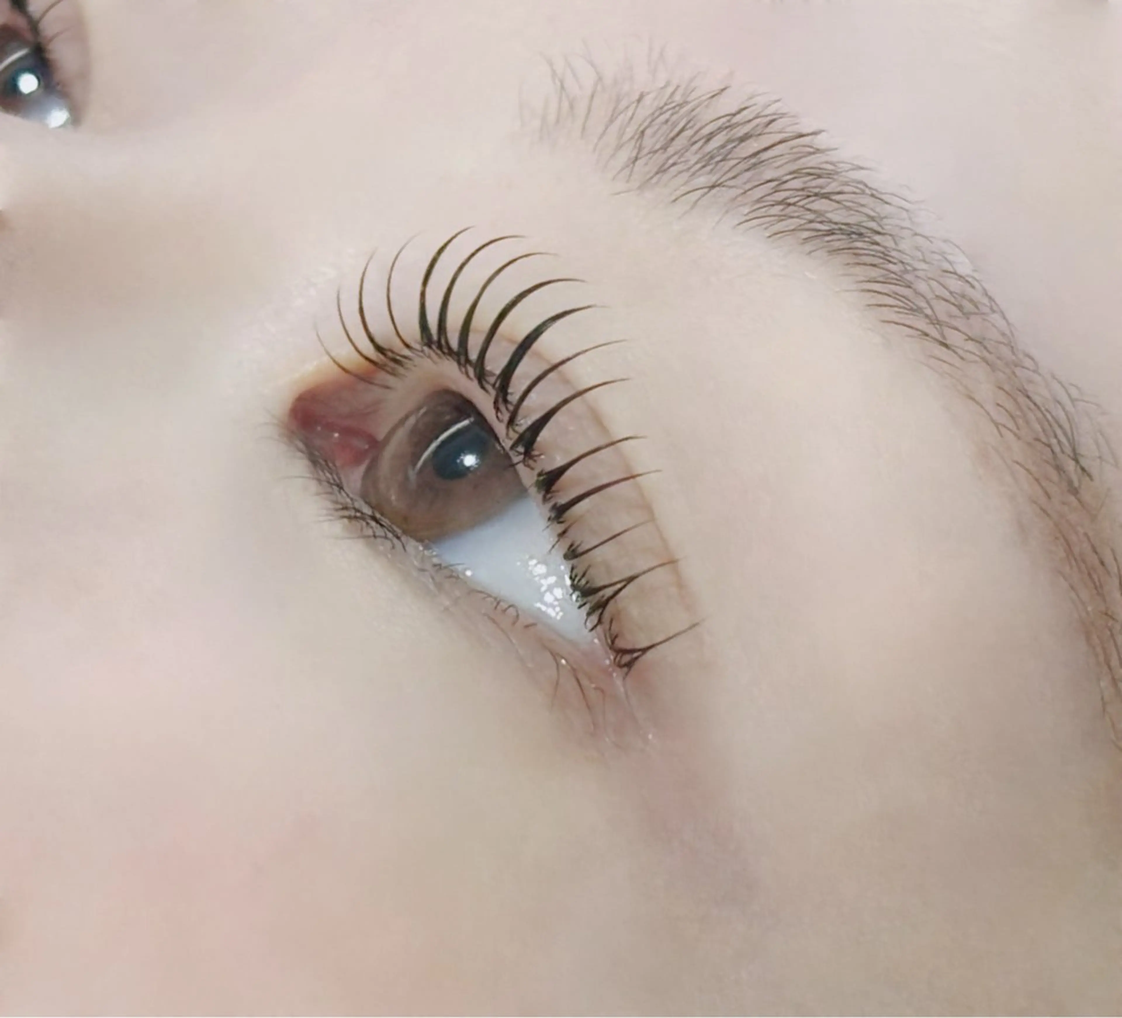 【まつげパーマ★立ち上げxcカール】ミミドールの写真