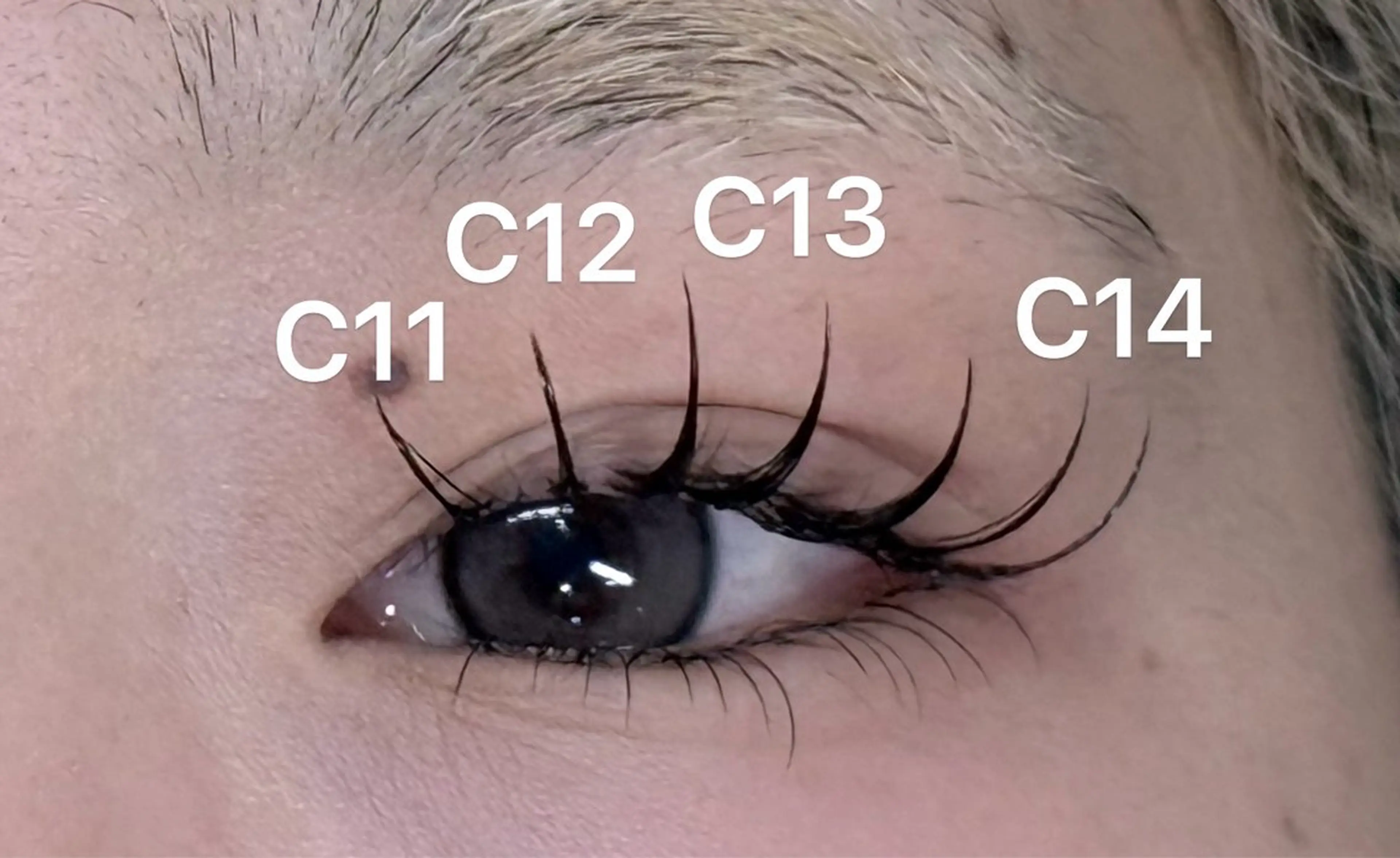 マツエク・マツパ 小林 花蓮のマツエク・マツパデザイン