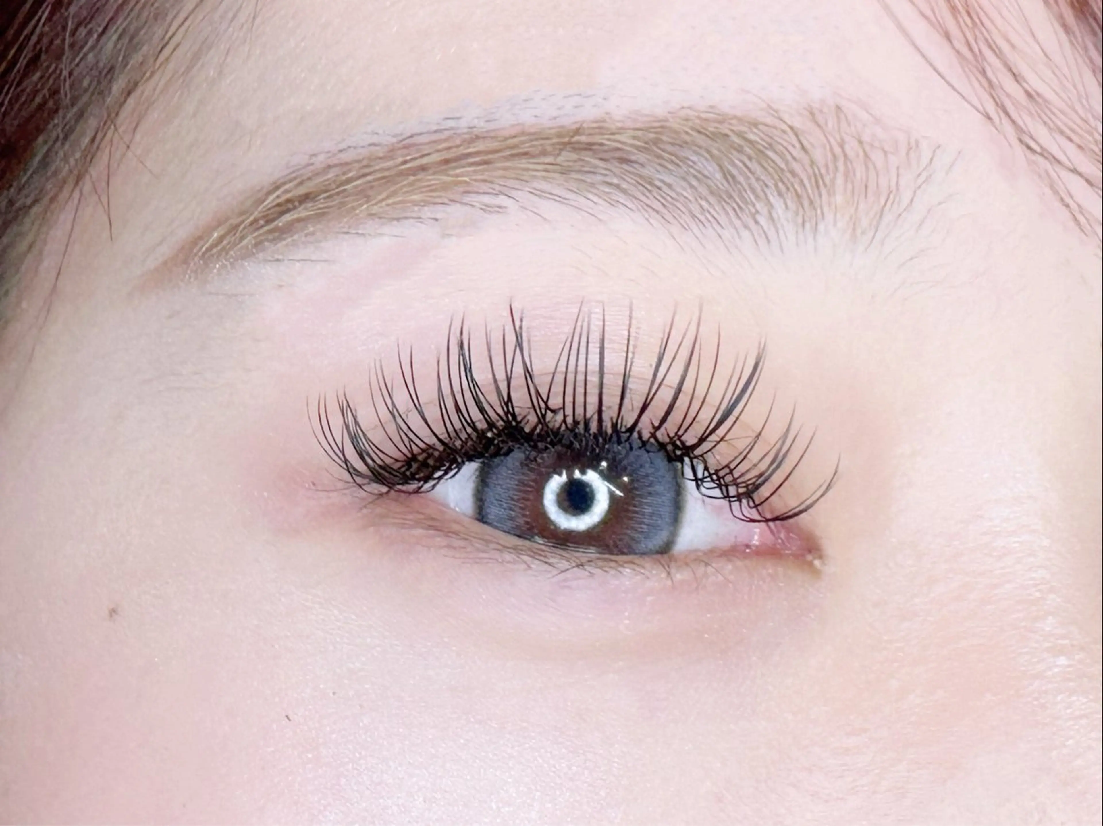 マツエク・マツパ Dカール フラットラッシュ マツエク Extension Tomato梅田店所属・Tomato 藤平のマツエク・マツパデザイン