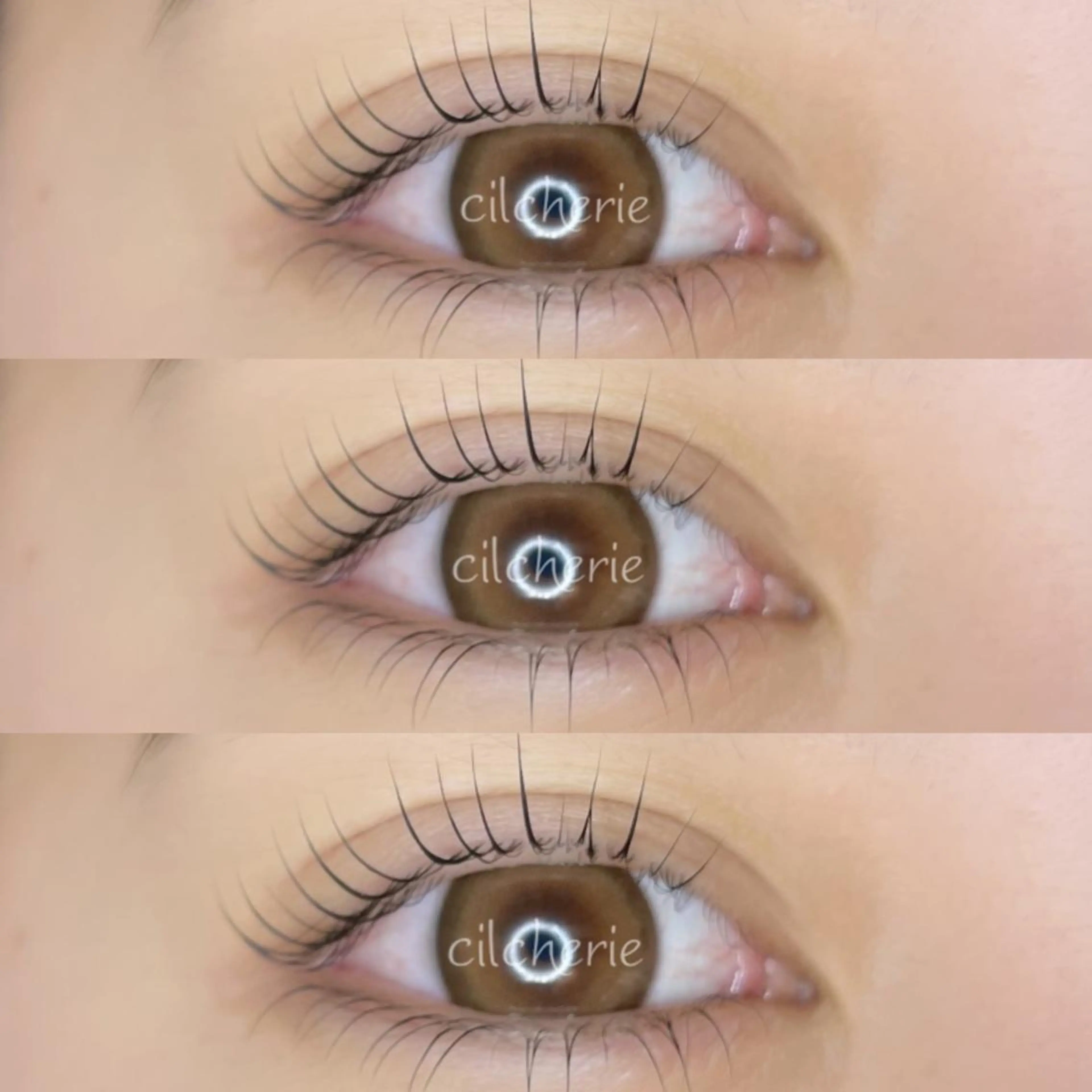 マツエク・マツパ パリジェンヌラッシュリフト マツパ cilcherie (シルシェリー)のマツエク・マツパデザイン