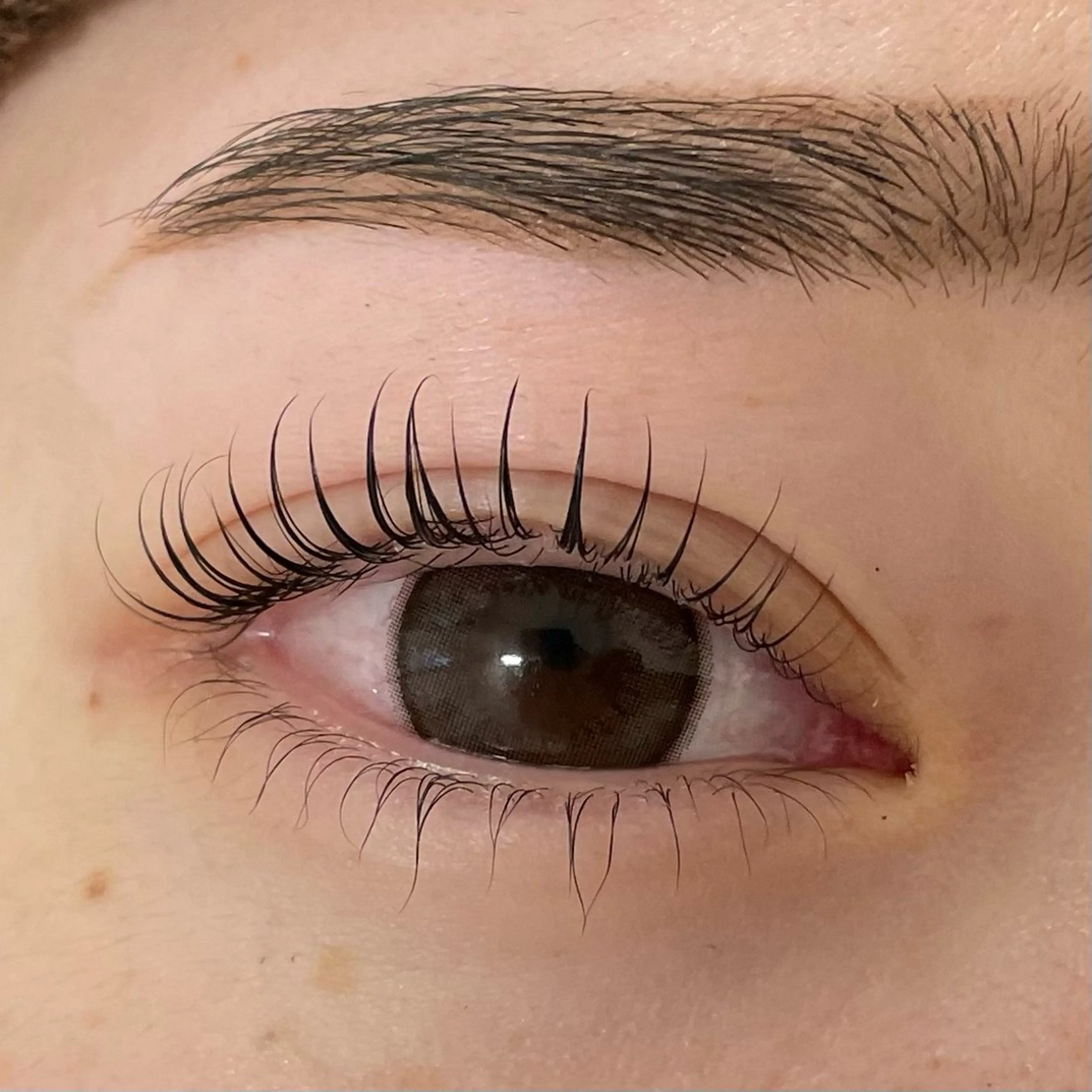 マツエク・マツパ Sakurablow 天王寺店 熊代のマツエク・マツパデザイン