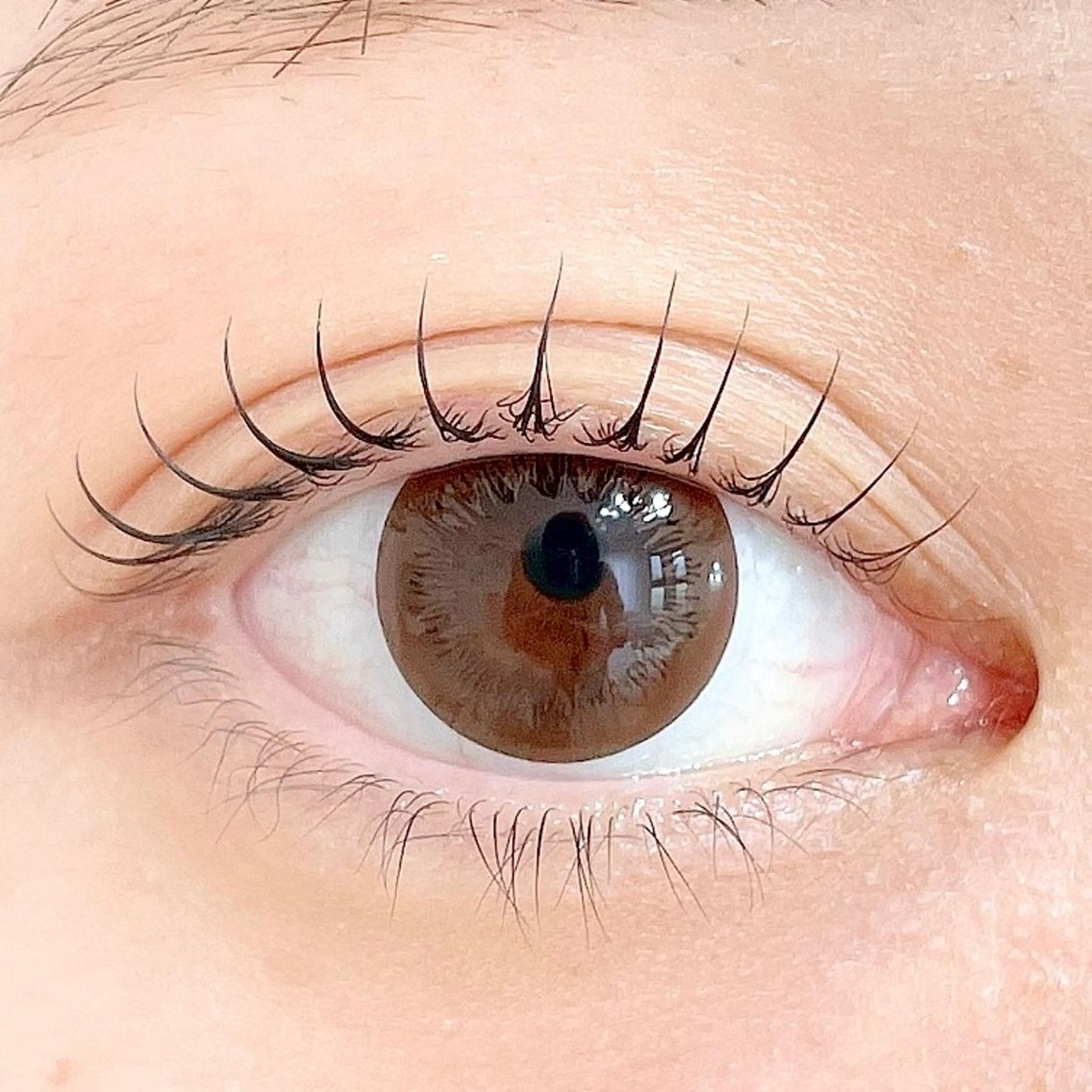 マツエク・マツパ ant_u🌷 arisaのマツエク・マツパデザイン