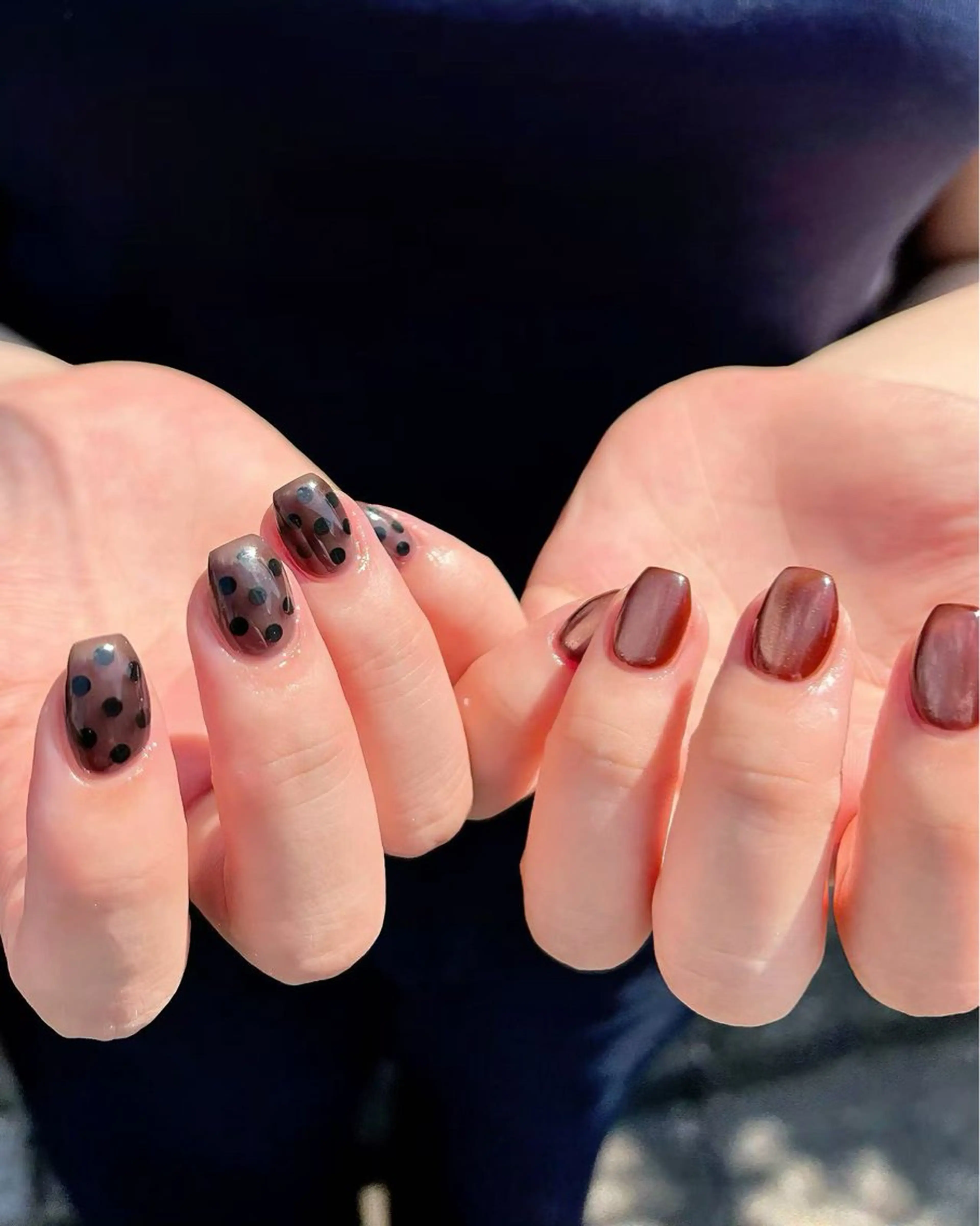 ネイル ブラウン ドット マグネットネイル ハンドネイル ハンドケア 🎀NAIL🎀 AI🪄︎︎◝✩のネイルデザイン