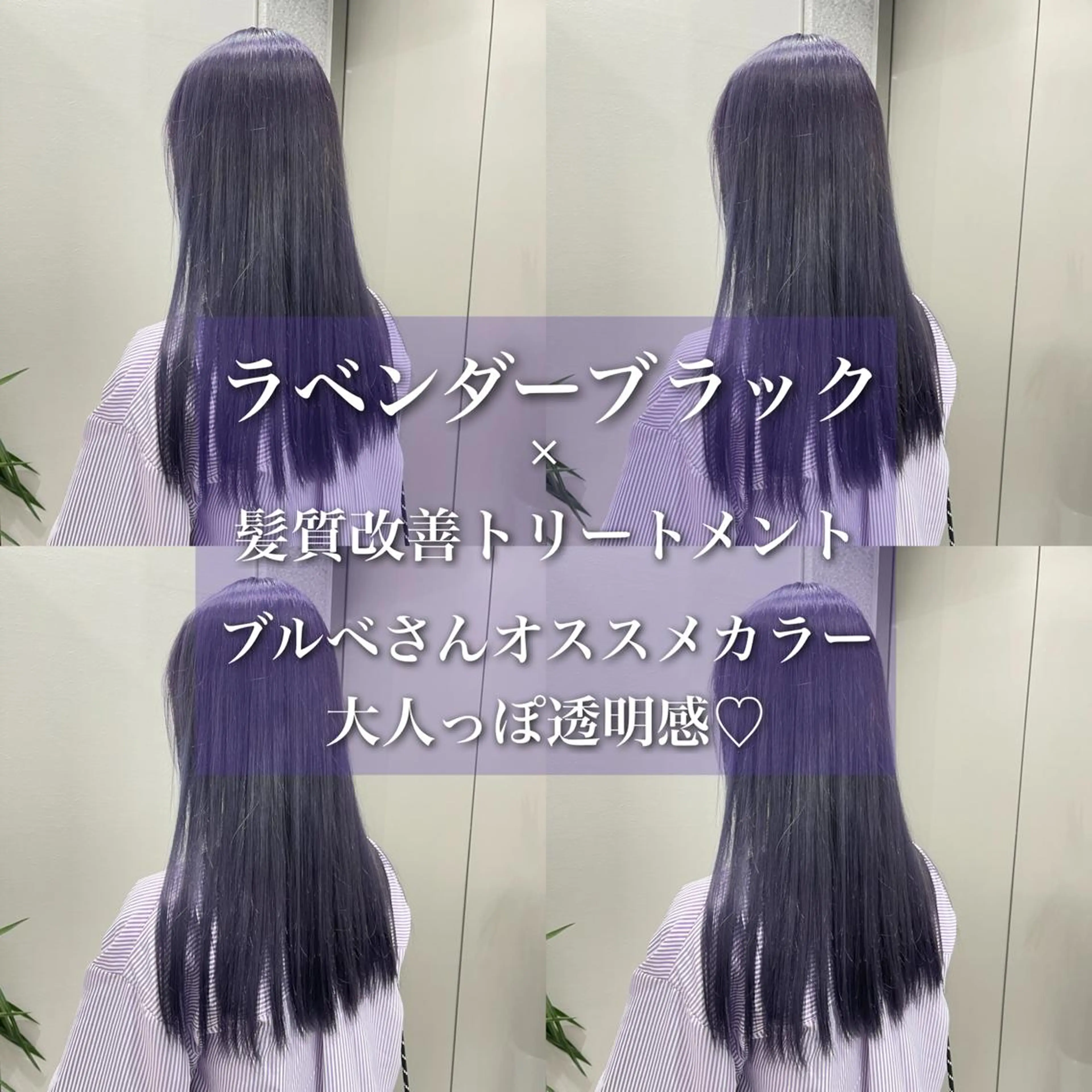 ロング カラー 黒髪 ラベンダーカラー ブリーチなし🌼トレ ンド🌼似合わせのヘアスタイル