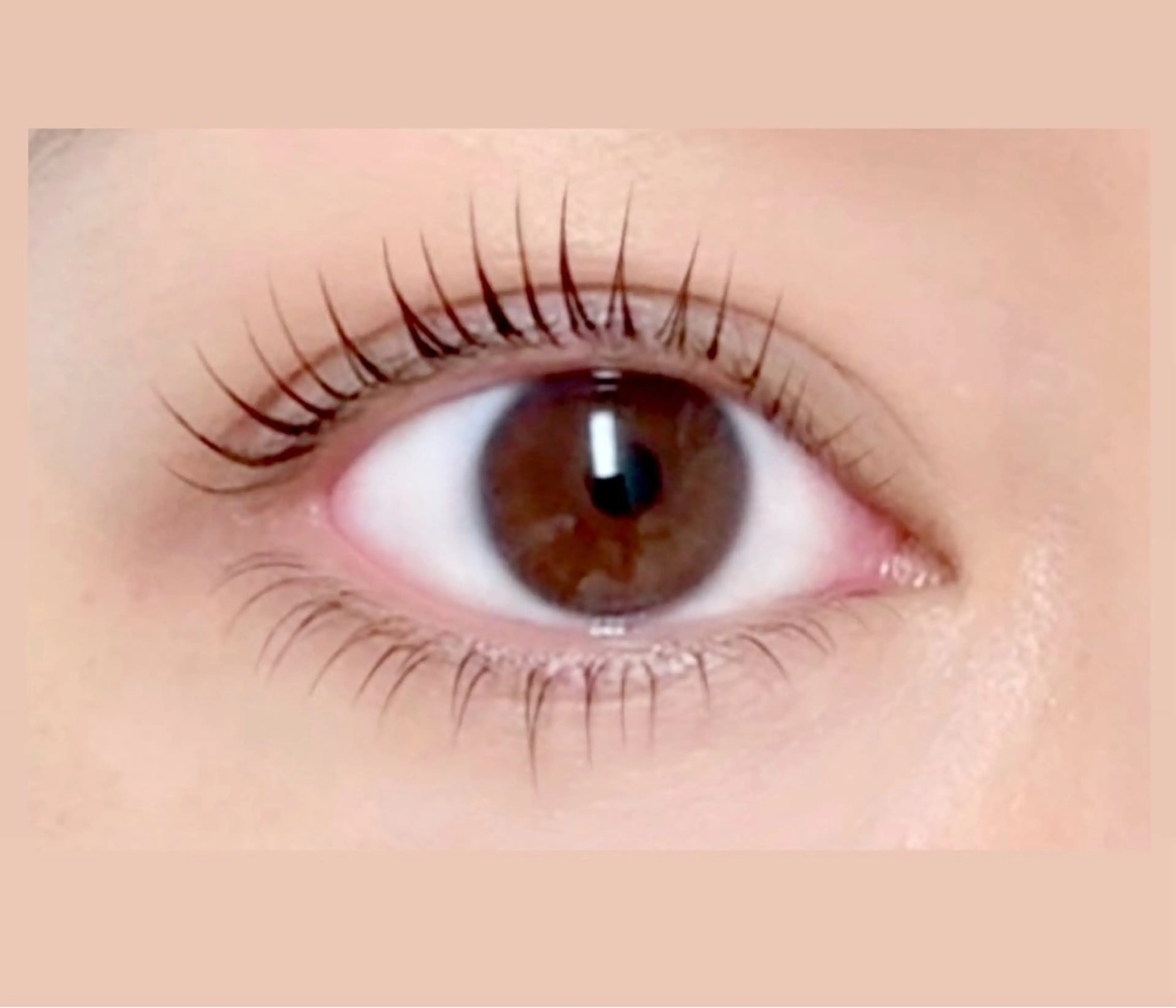 撮影モデル特別価格🎀マツエクオフ&上下まつげパーマ・LASHLIFT・パリジェンヌの写真