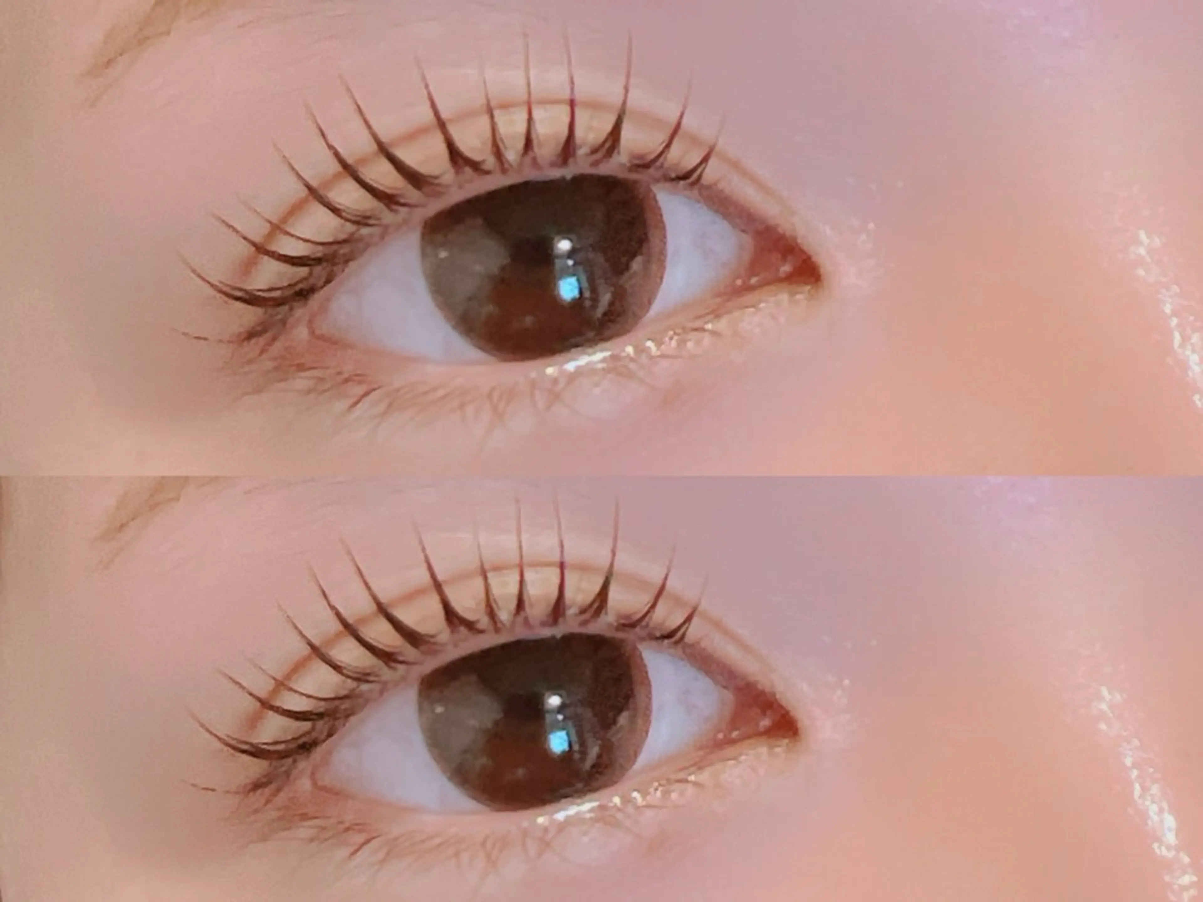 【ご新規様限定】マスカラパーマ☆ブラックティントで黒く濃い自まつ毛に！¥7,700→¥4,730の写真