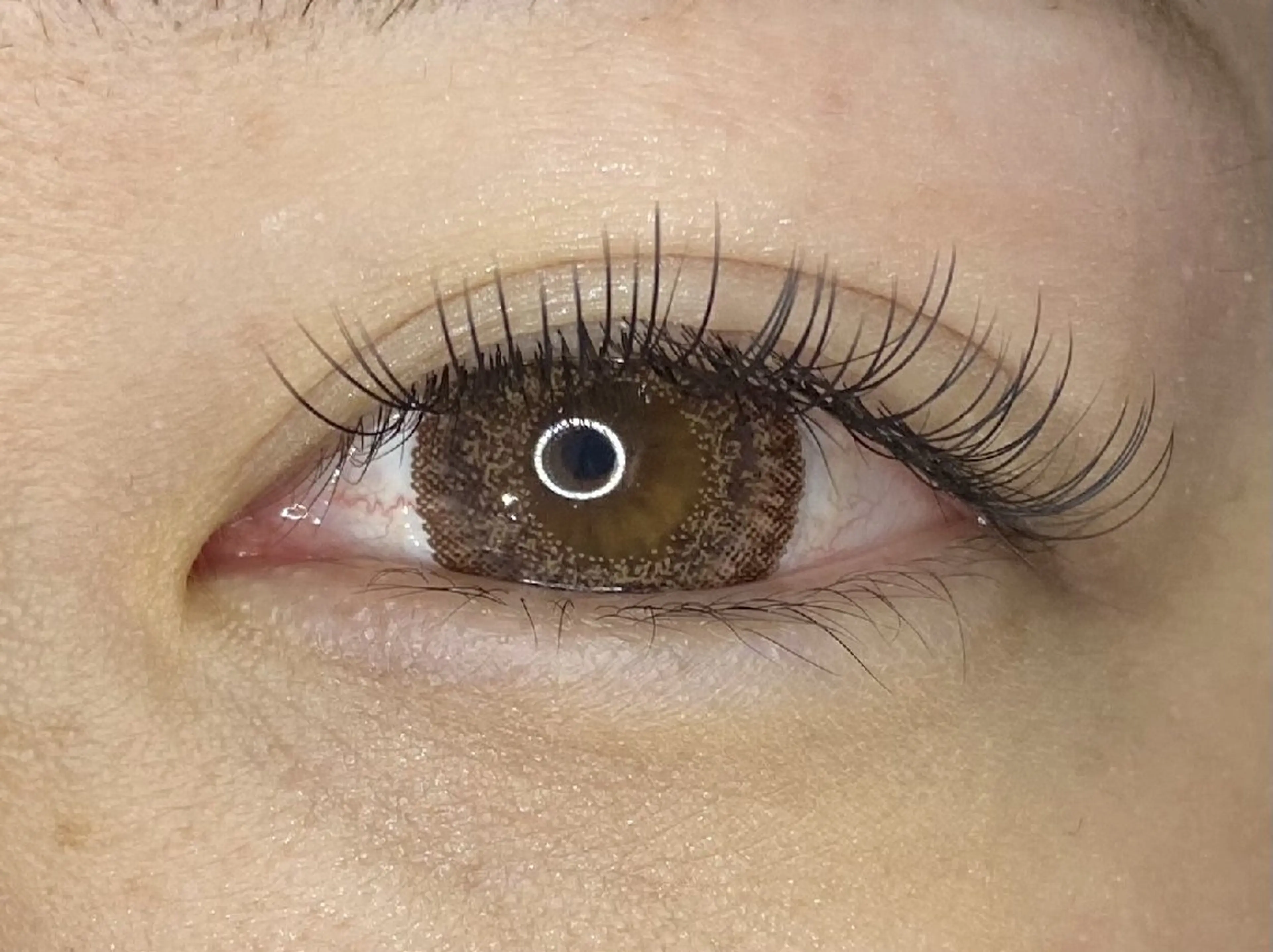 シングルラッシュ120本(オフあり)の写真