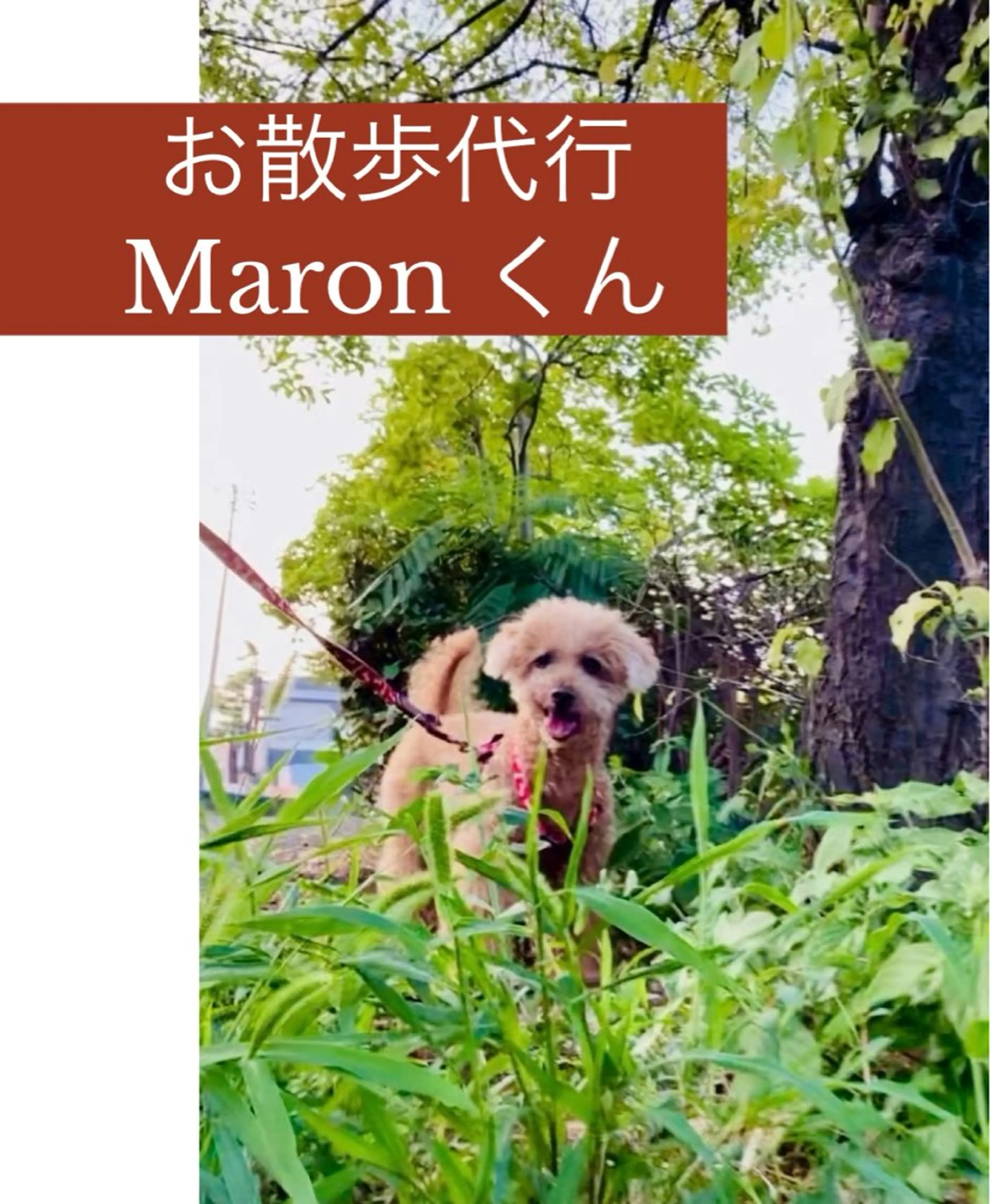 出張リラク/ペット 空 -sora-のエステ・リラクイメージ