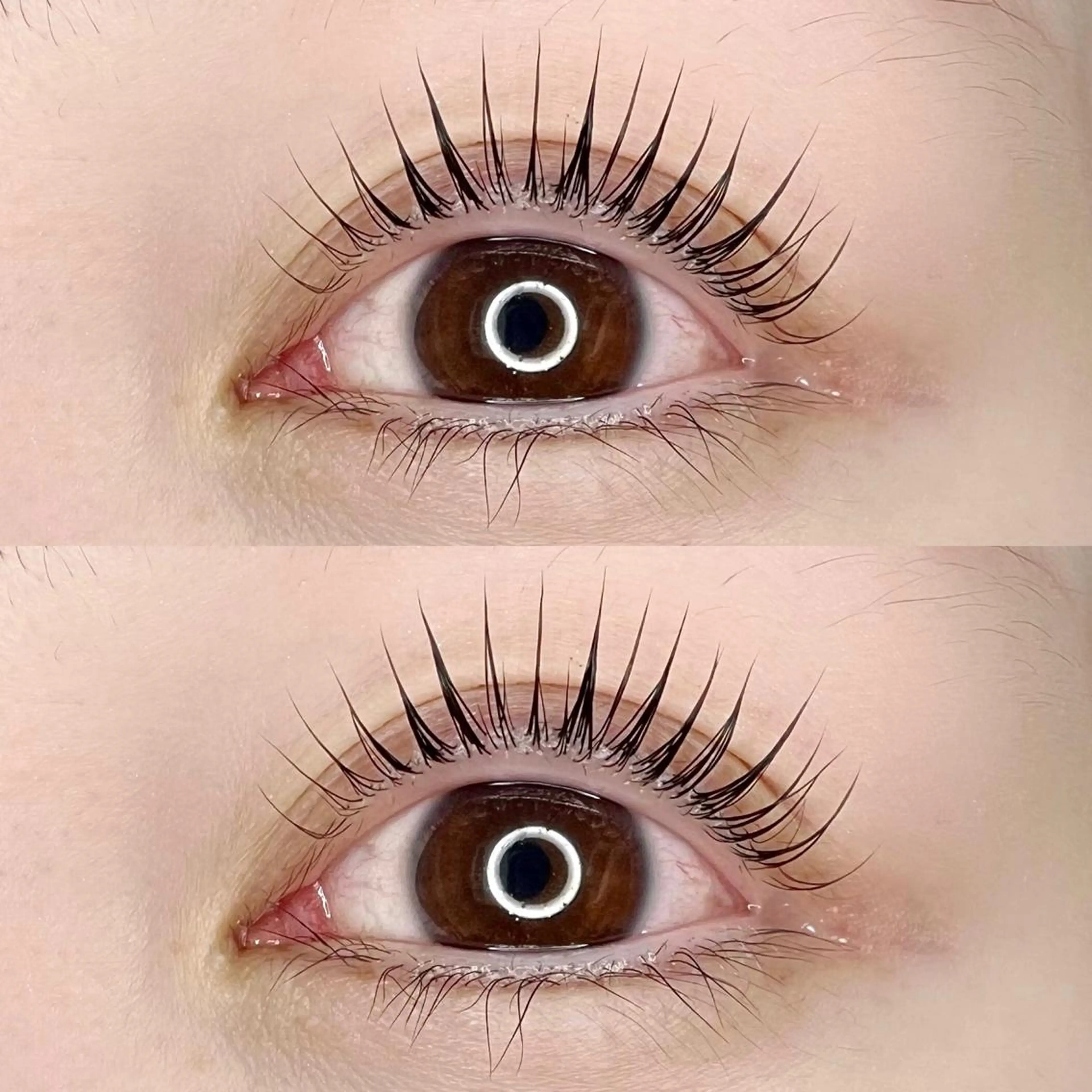 マツエク・マツパ Madonna Lilyのマツエク・マツパデザイン