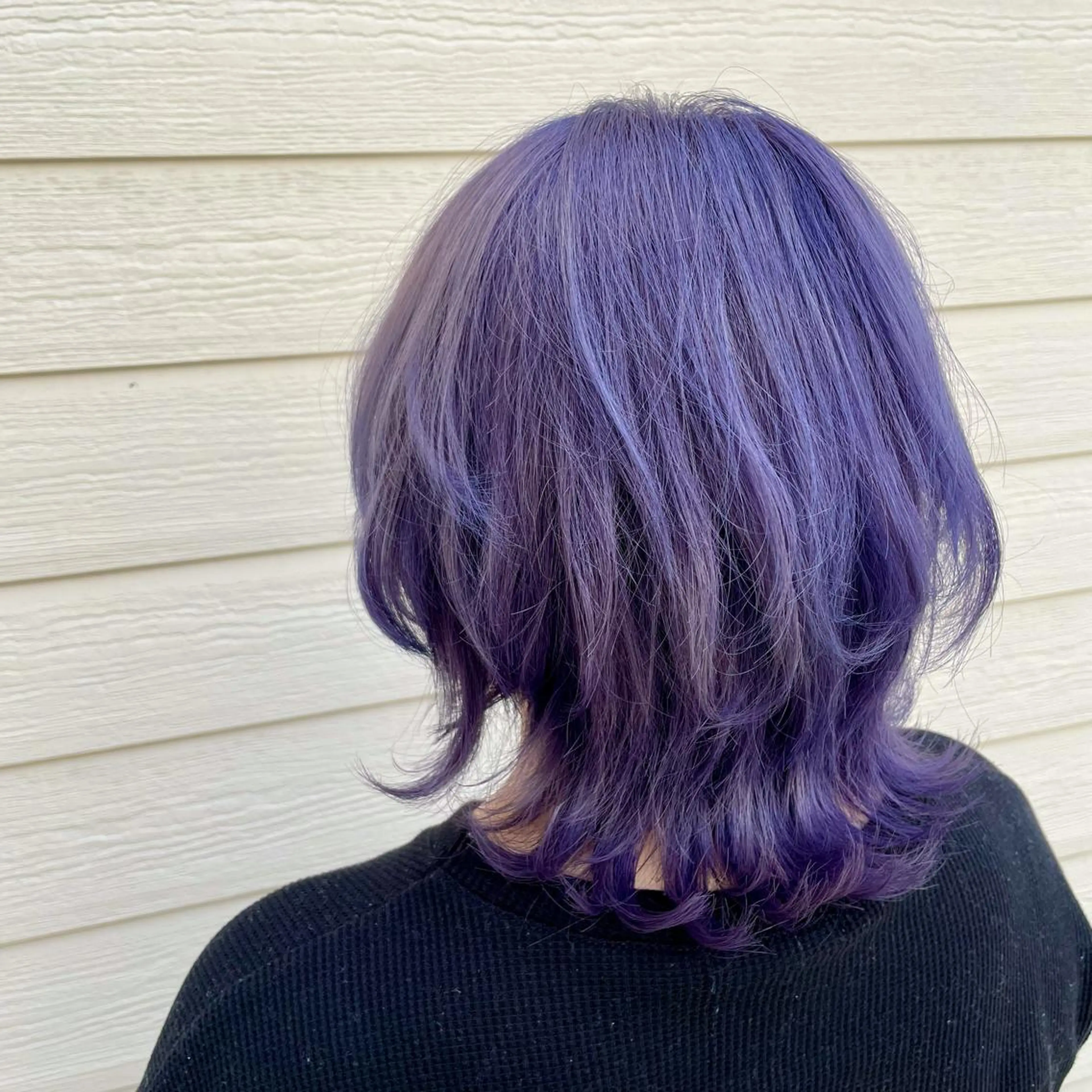 ミディアム カラー パープルカラー ウルフカット ヘアカラー トリートメント RUBEUS【ルベウス】所属・✨艶々カラー🎨 杉本賢人のヘアスタイル