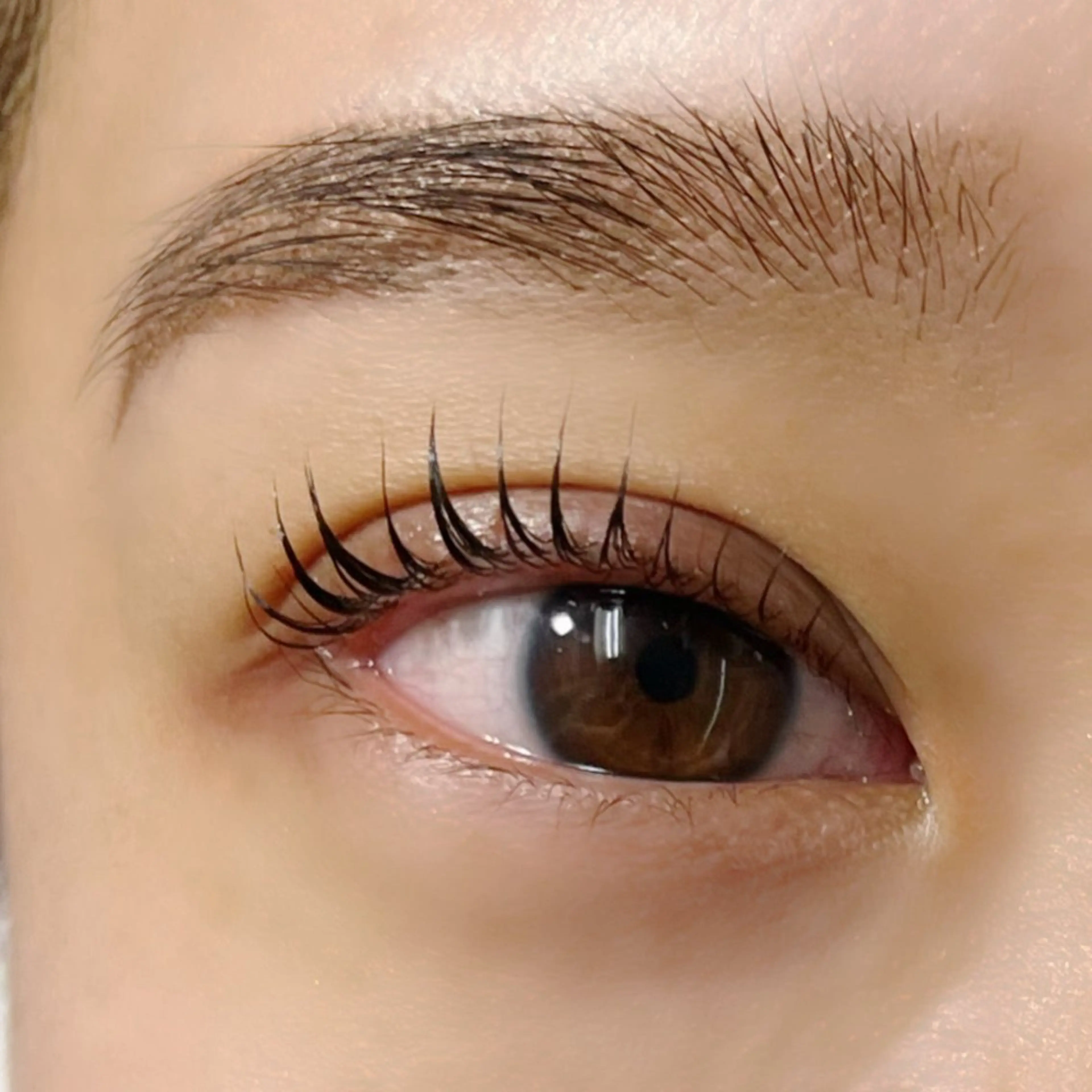 マツエク・マツパ ケラチンラッシュリフト パリジェンヌラッシュリフト Trinity eyelashのマツエク・マツパデザイン