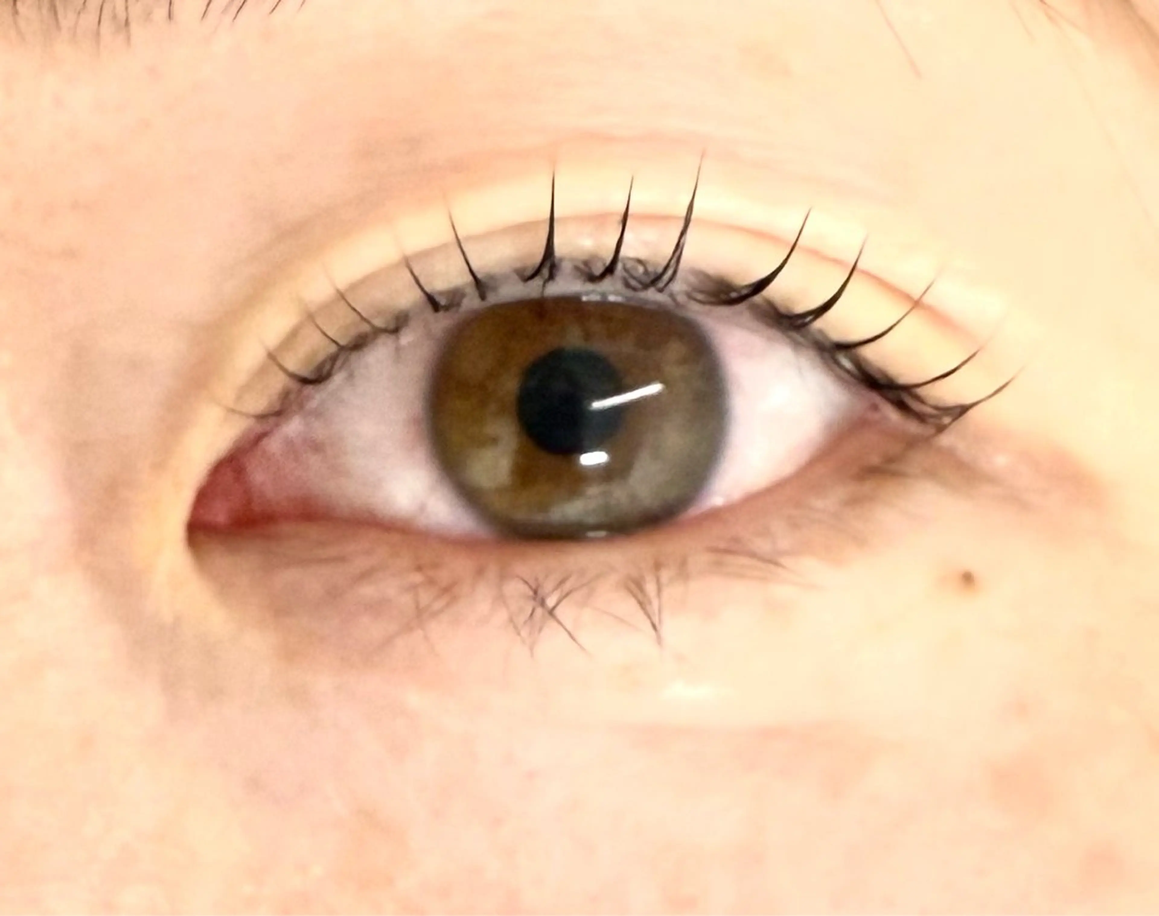 マツエク・マツパ まつげパーマ haruka 【ever天神店】のマツエク・マツパデザイン