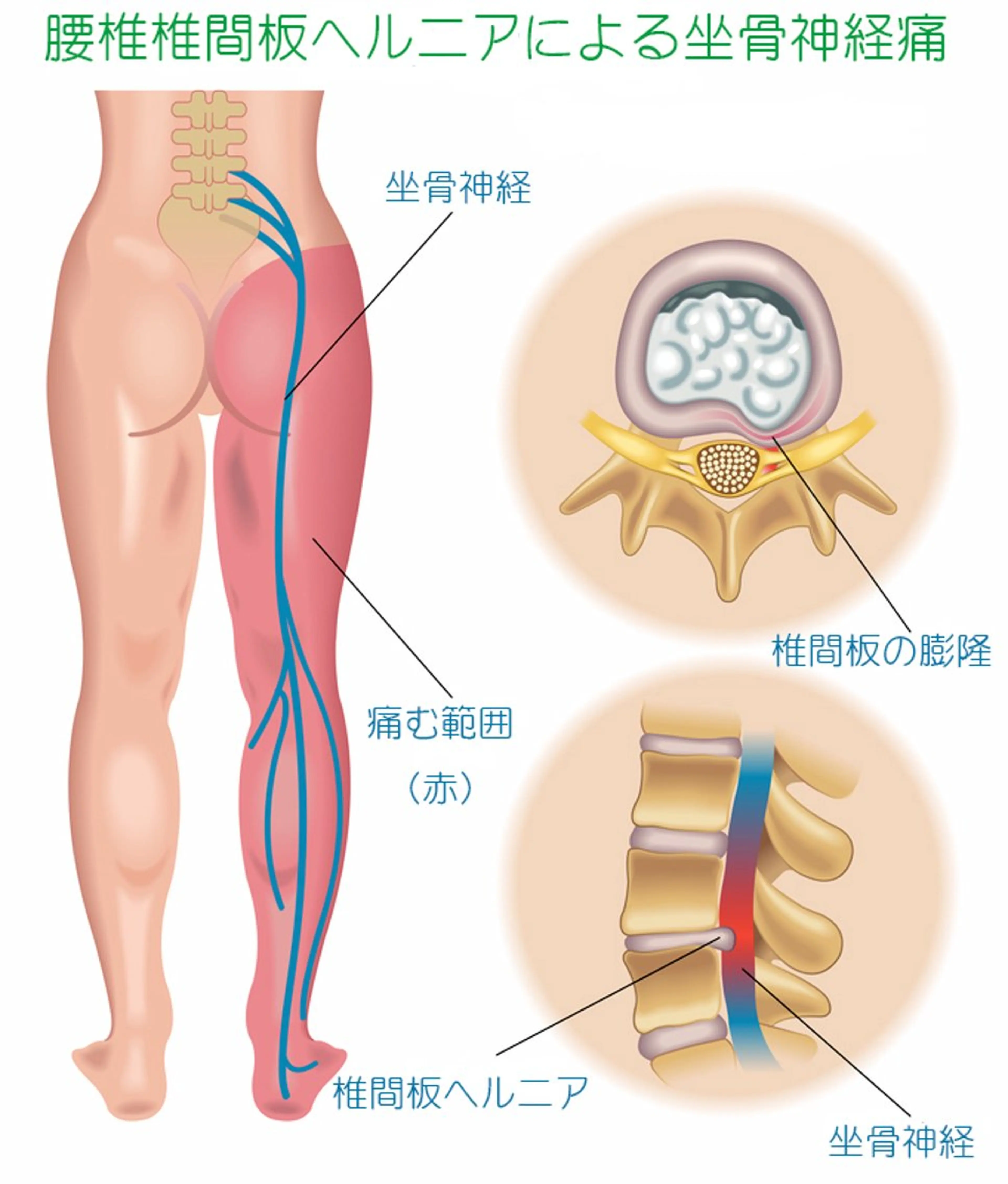後藤 怜士のエステ・リラクイメージ