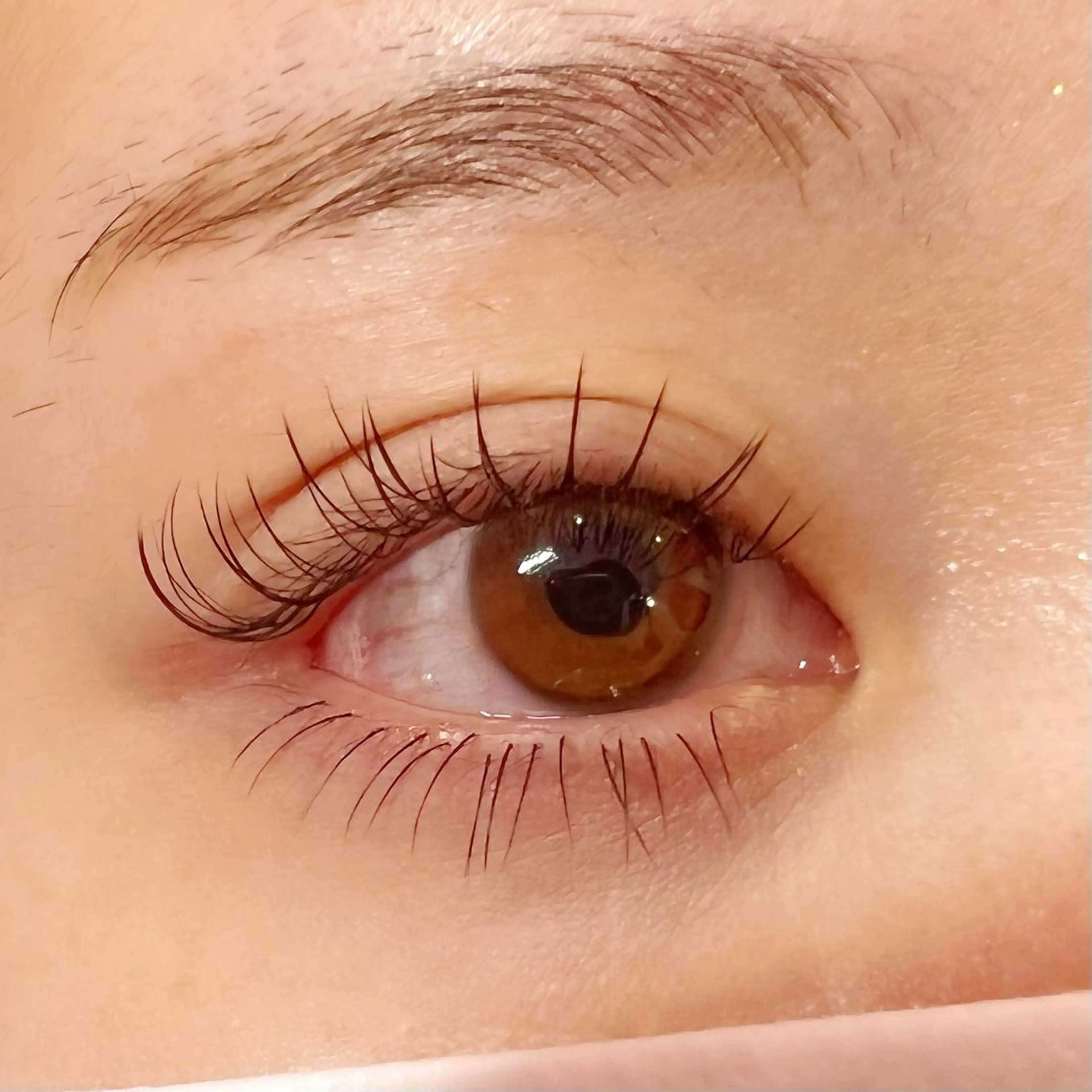 マツエク・マツパ Celeste Venus所属・🧸Celeste Venusのマツエク・マツパデザイン