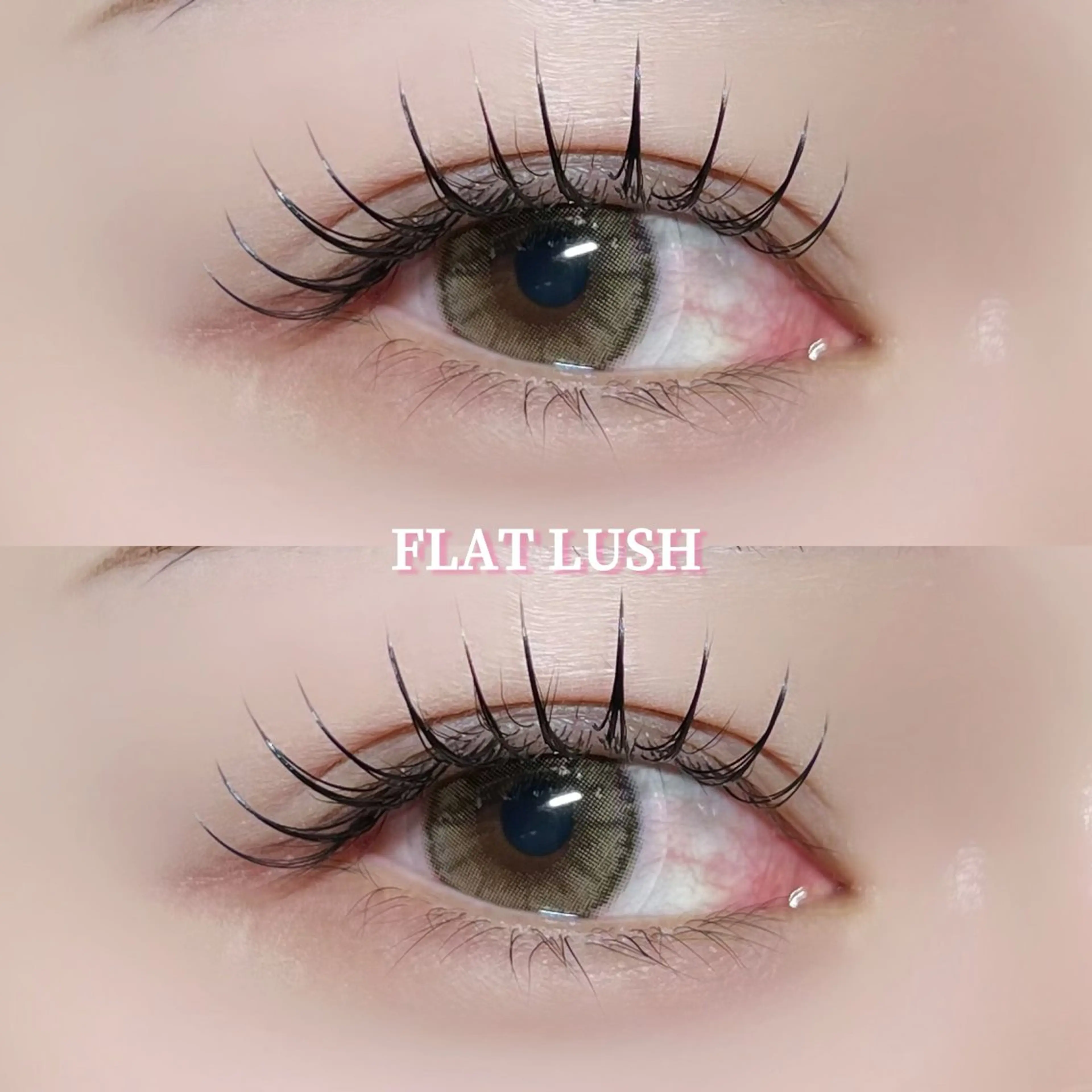 マツエク・マツパ マツエク Milobyking 🍒rihoの眉毛・アイブロウイメージ