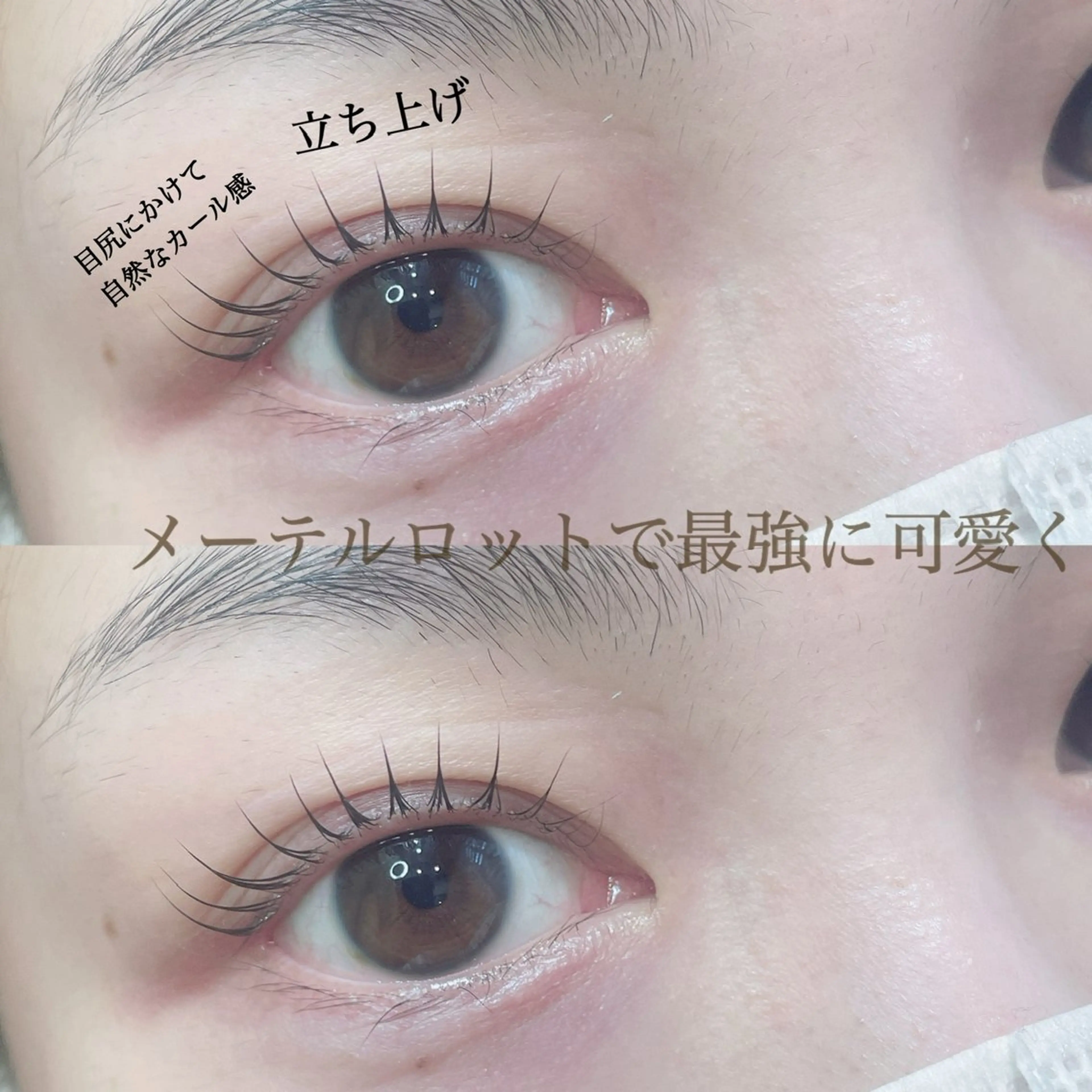 マツエク・マツパ マツパ SEALA 高石店所属・SEALA 高石の眉毛・アイブロウイメージ