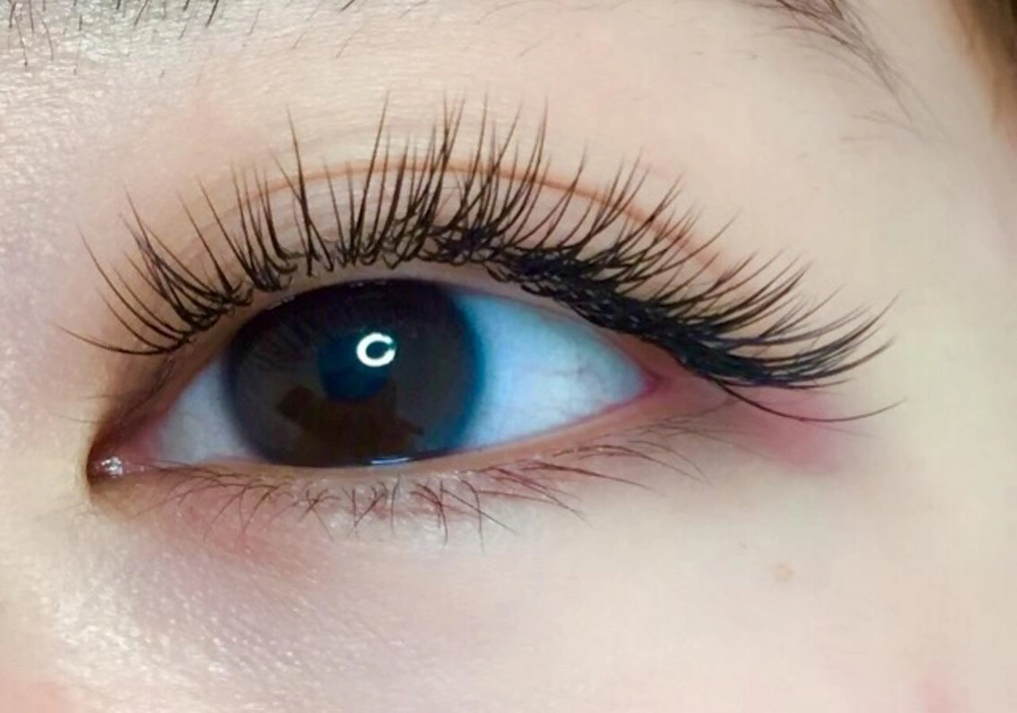 オイルクレンジングok😘セーブル60本クレンジング+コーティング付[フラットlash+¥300•カラー+¥1000]の写真