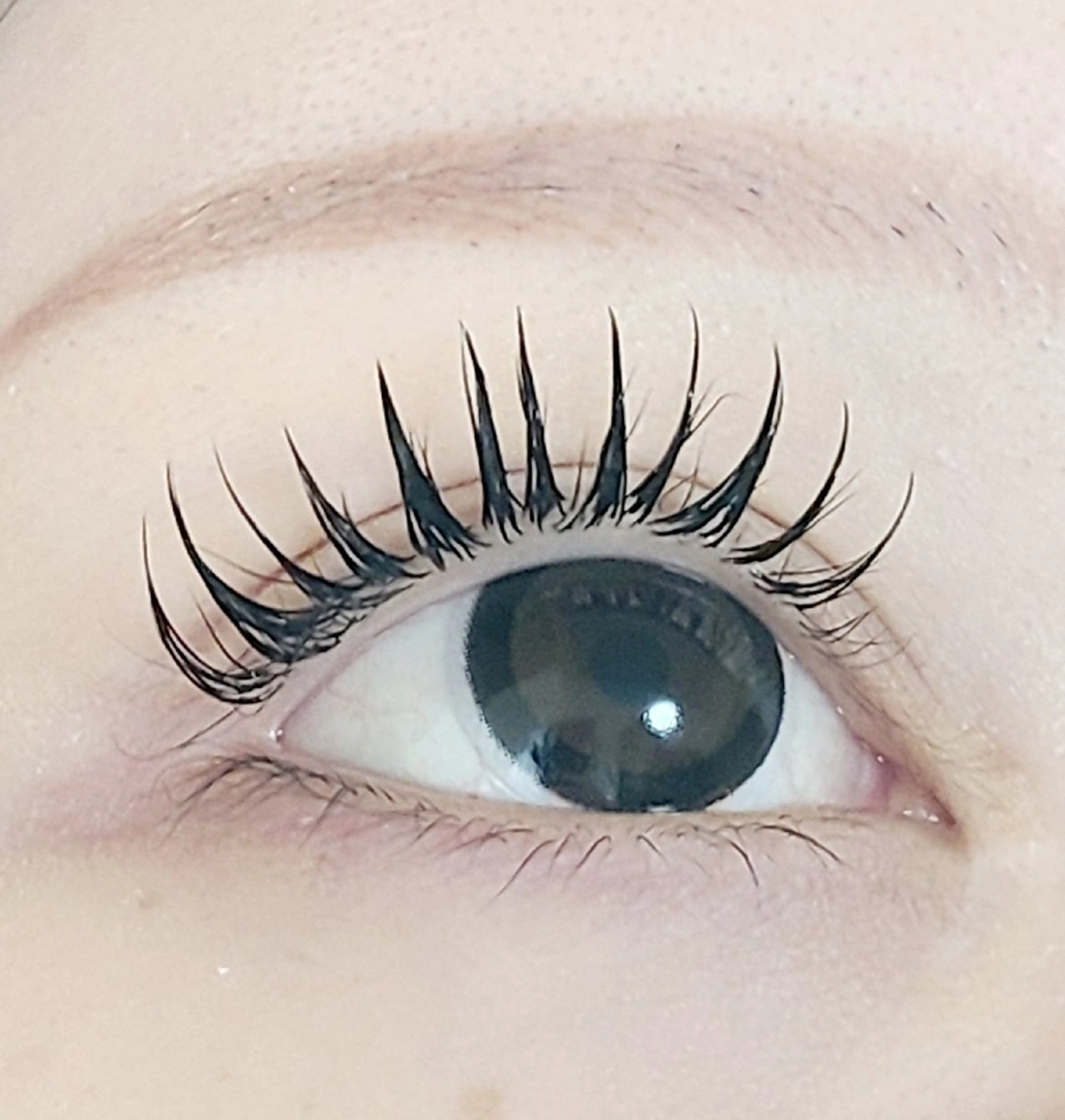 マツエク・マツパ マツエク セレビアイ/ ISHIIのマツエク・マツパデザイン