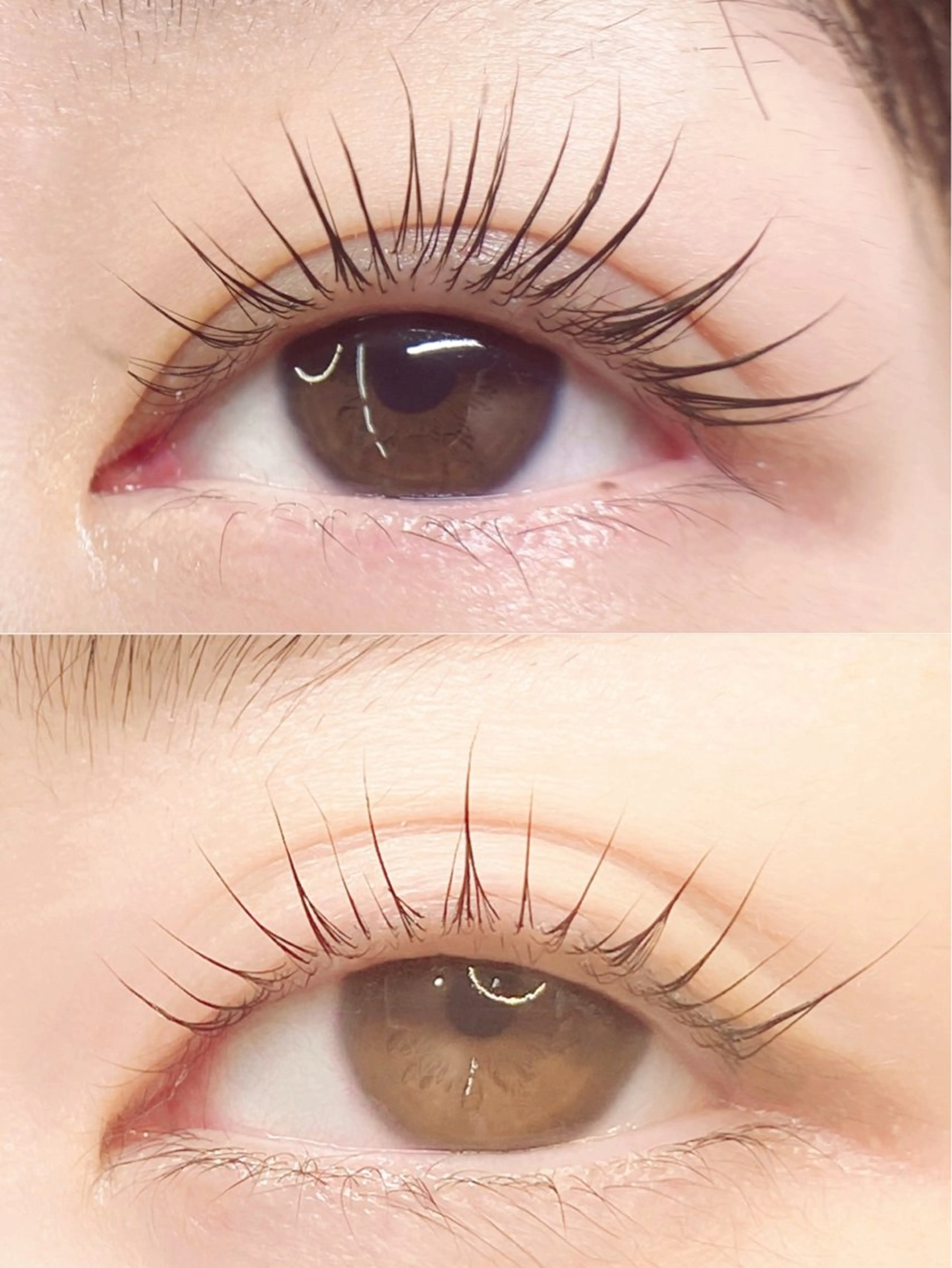 リピーター様　\次世代ラッシュリフト　生ケラチン配合/  クリアコーティング美容液仕上げの写真
