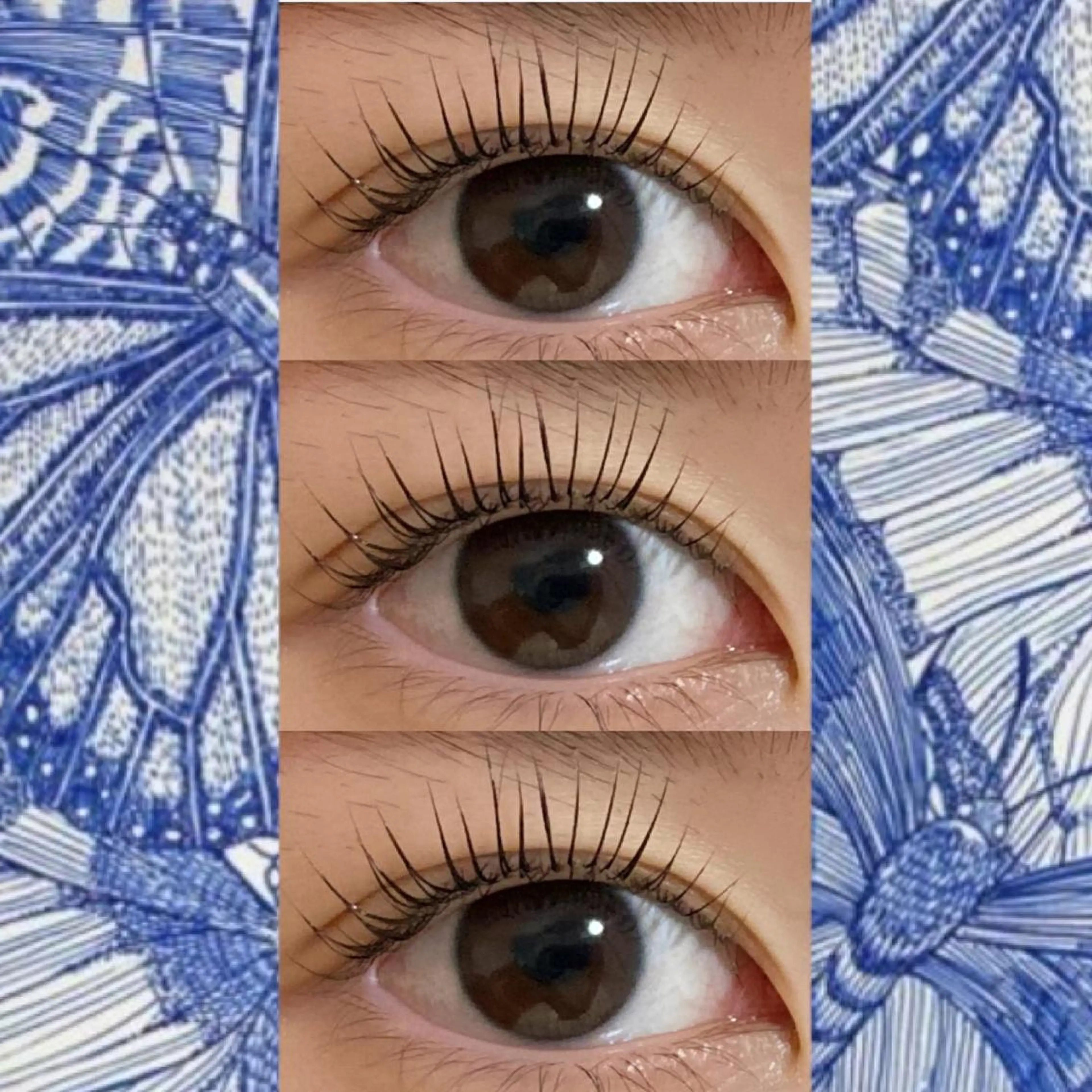 マツエク・マツパ ブラウンラッシュ カラーマツエク フラットラッシュ 韓国風マツエク まつげパーマ orihara𐙚 まつげパーマ/眉毛のマツエク・マツパデザイン