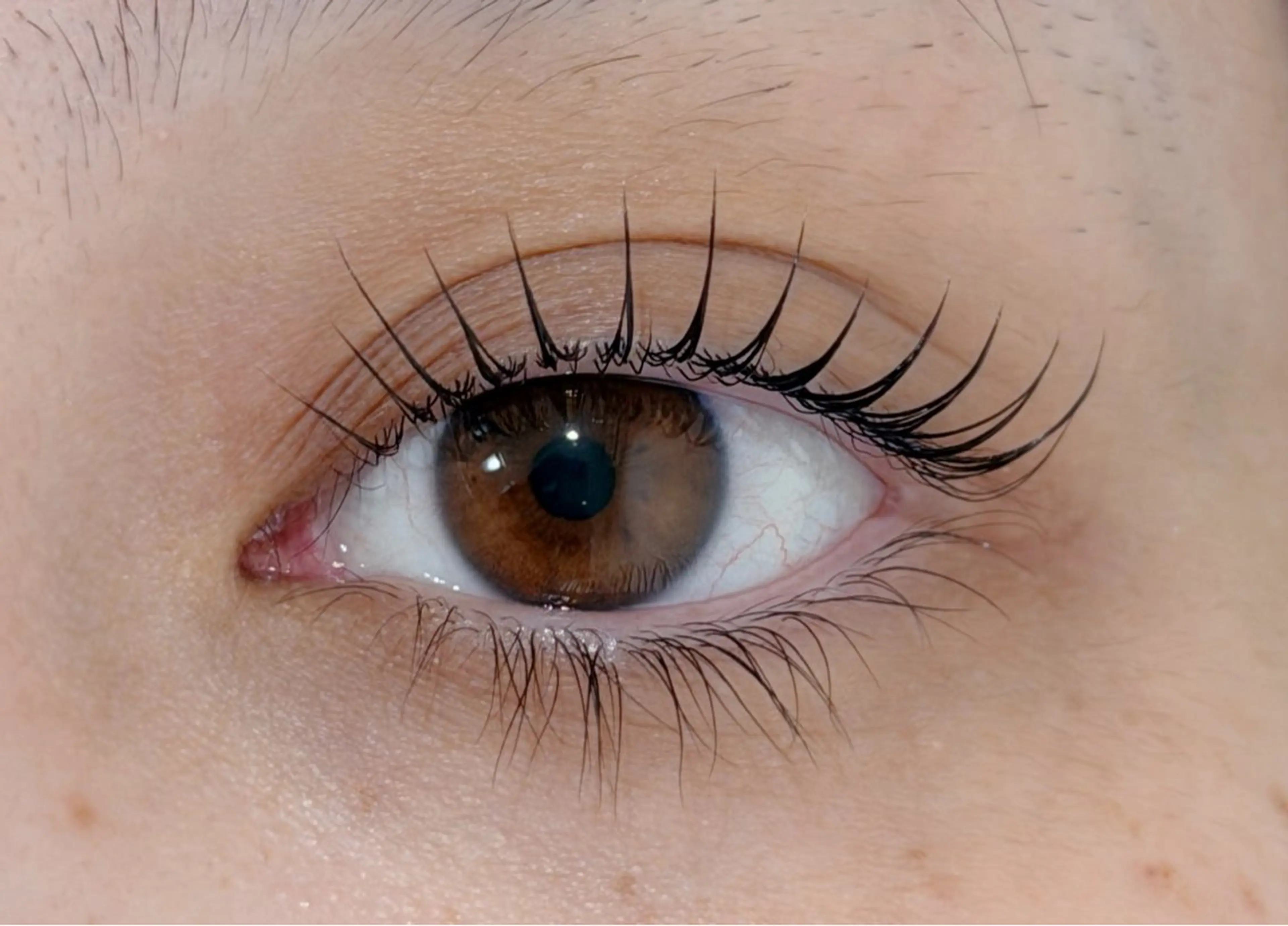 マツエク・マツパ 一重×まつ毛パーマ Lil by Fan. 菊池のマツエク・マツパデザイン