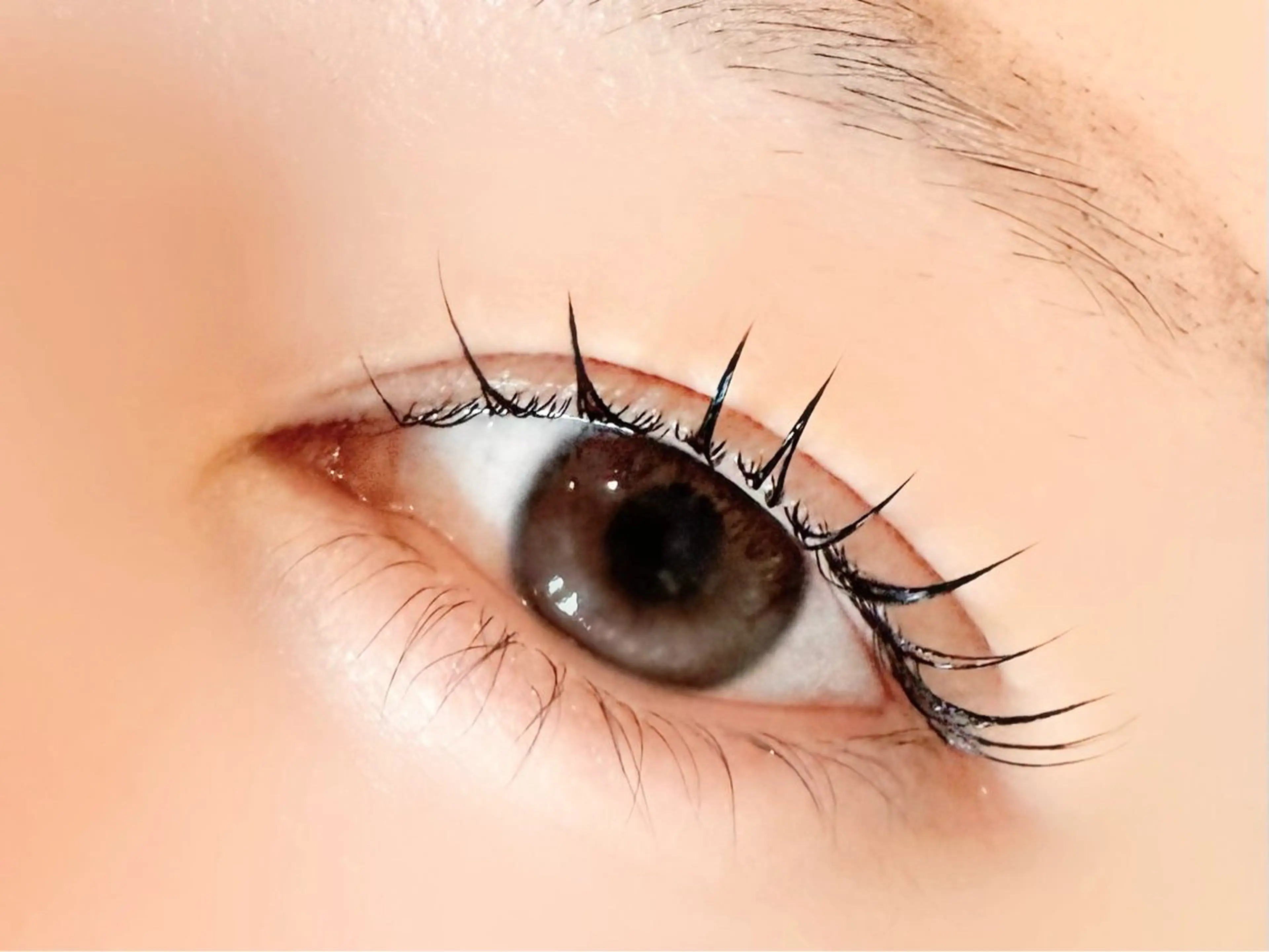 マツエク・マツパ 𝙝𝙞𝙣𝙖 ♡の眉毛・アイブロウイメージ