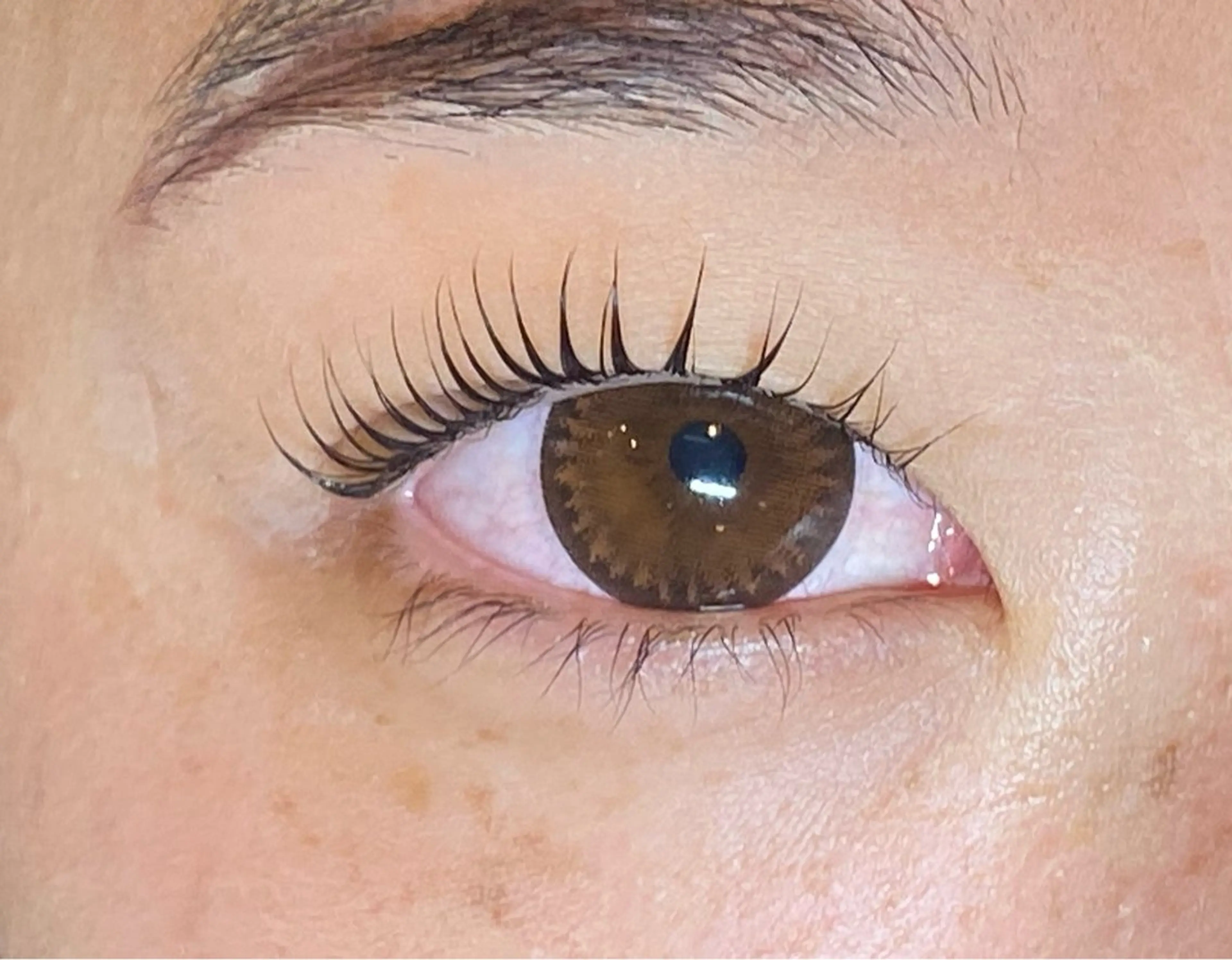 マツエク・マツパ Daisy lash 京橋店堀井のマツエク・マツパデザイン