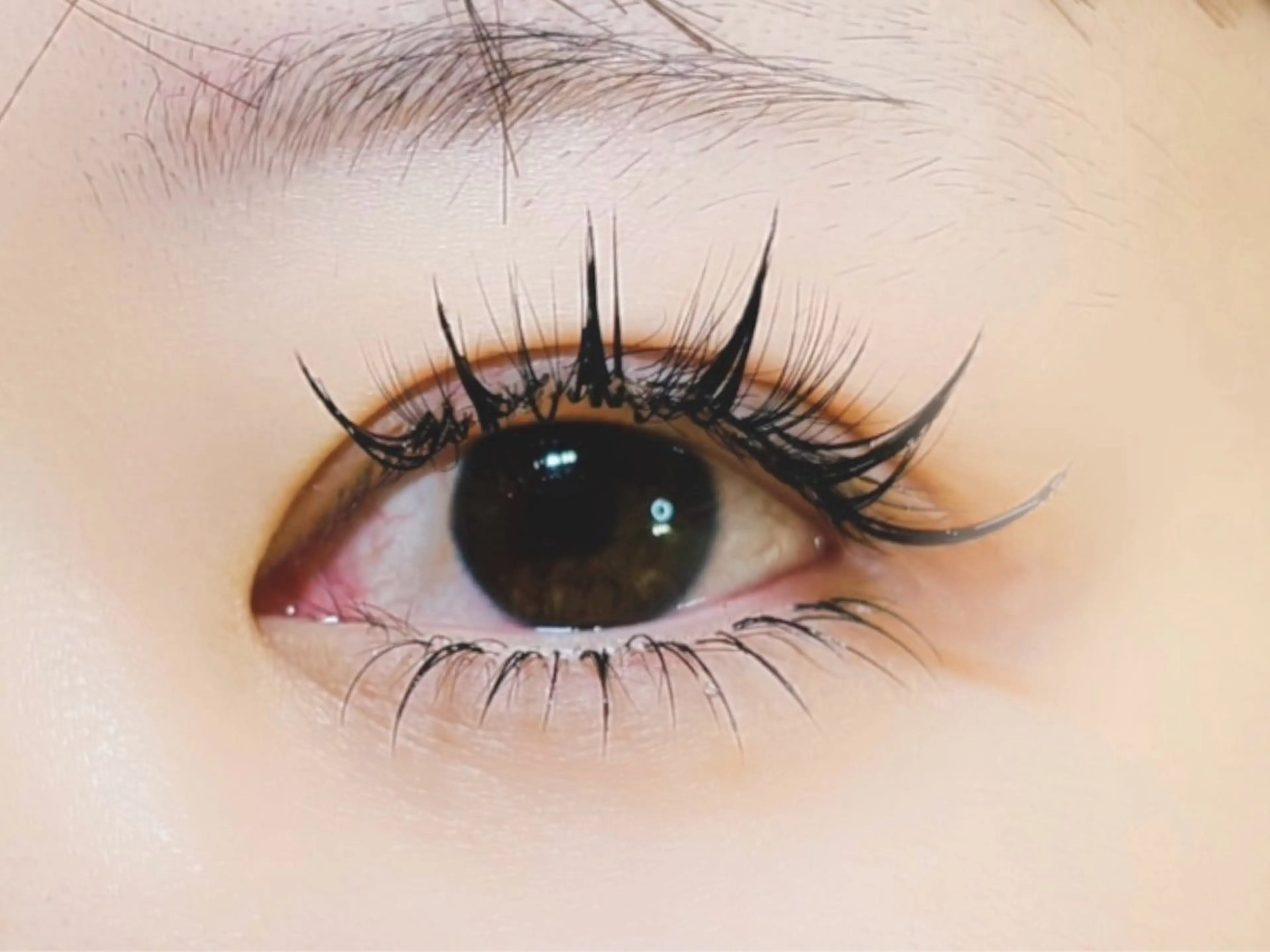 マツエク・マツパ 付け放題 バインドロック 束感まつ毛 フラットラッシュ パリジェンヌラッシュリフト マツエク オーロラ所属・AURORA RINAのマツエク・マツパデザイン