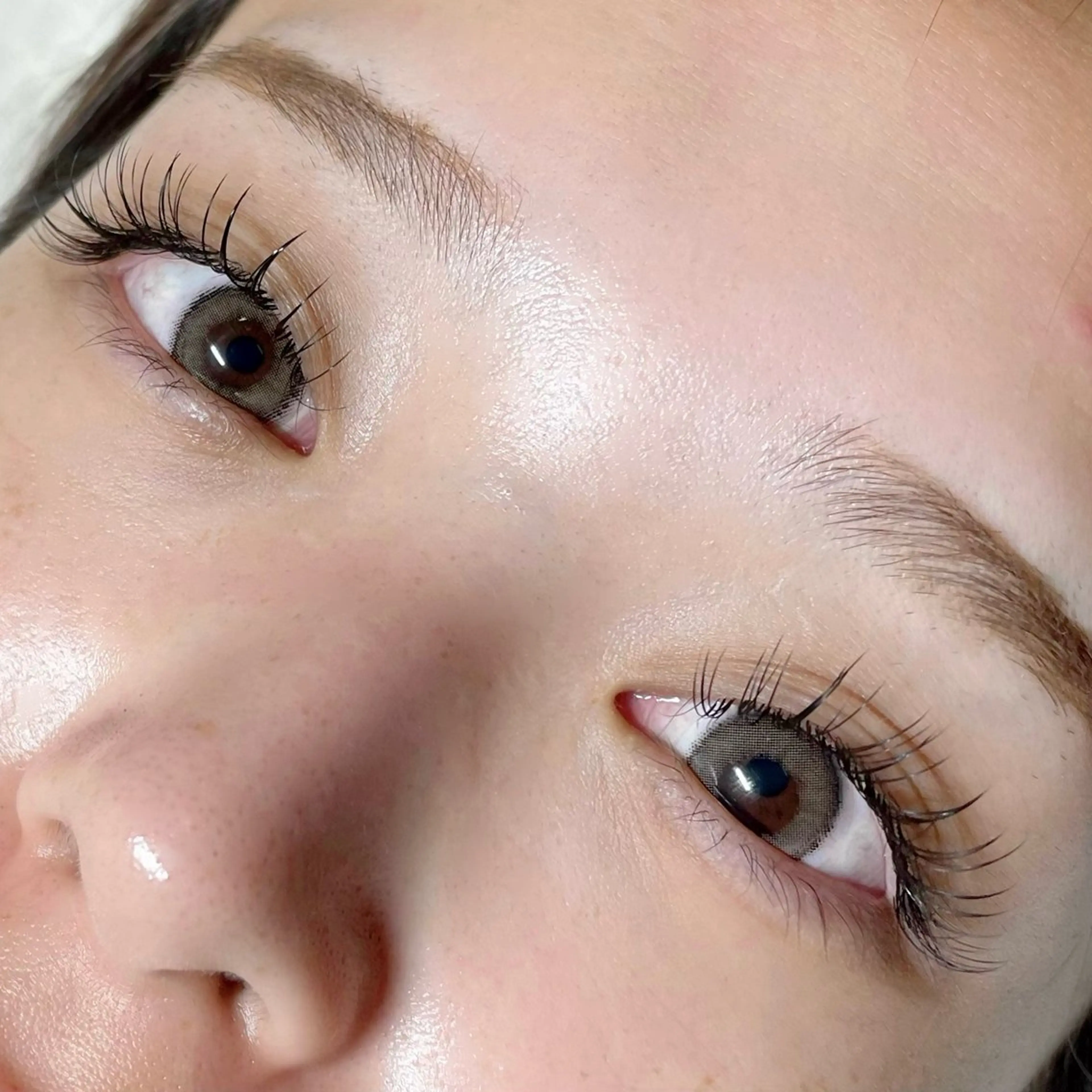 🔸最軽量🔸 フラットラッシュ 140本の写真