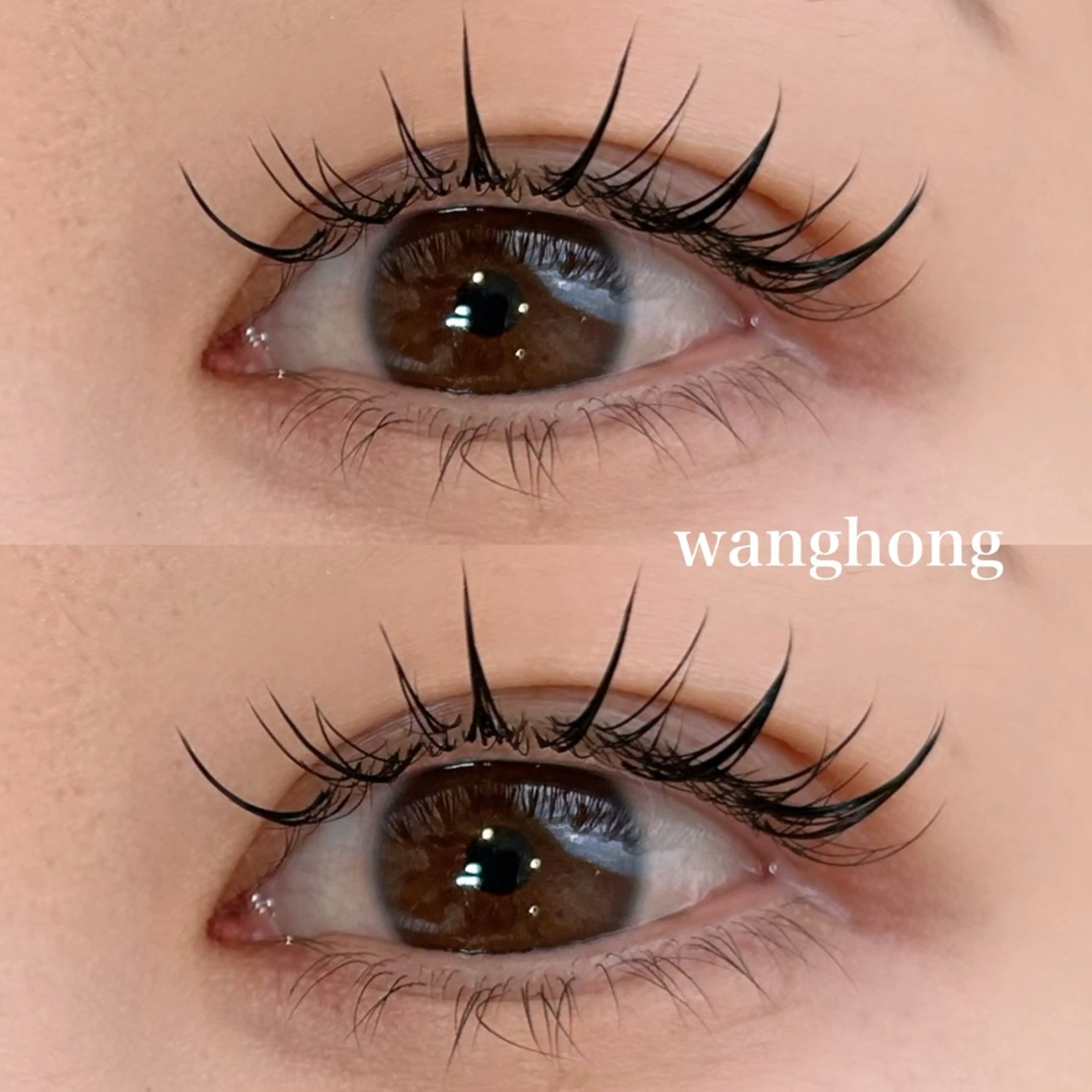 ワンホン(wanghong🇰🇷🇨🇳)モデル限定価格💗中国、韓国束感まつ毛エクステ🖤の写真