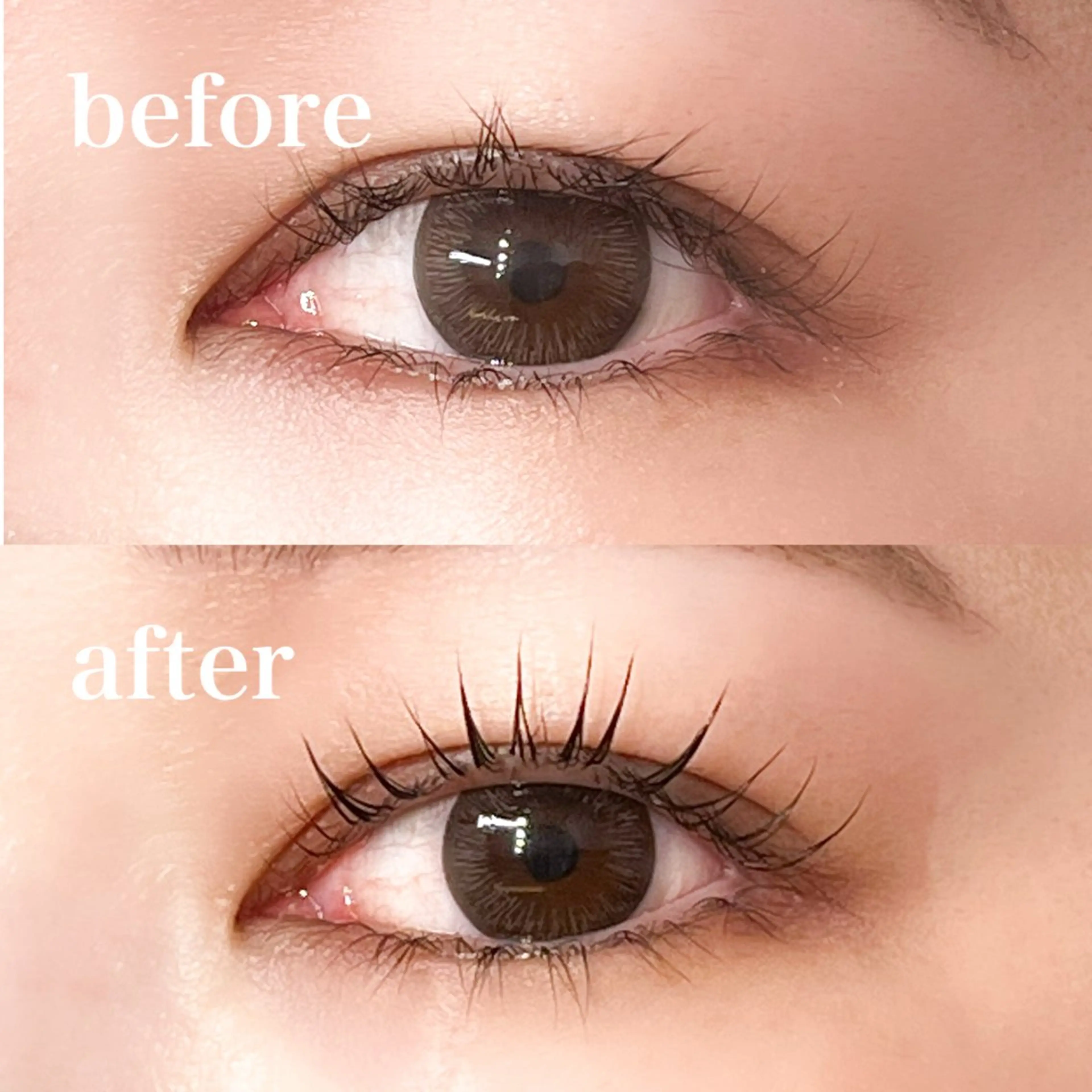 マツエク・マツパ 束感まつ毛 韓国風マツエク パリジェンヌラッシュリフト まつげパーマ 一重×まつ毛パーマ 仙台/束感まつげ💐 🎀Mizukiのマツエク・マツパデザイン